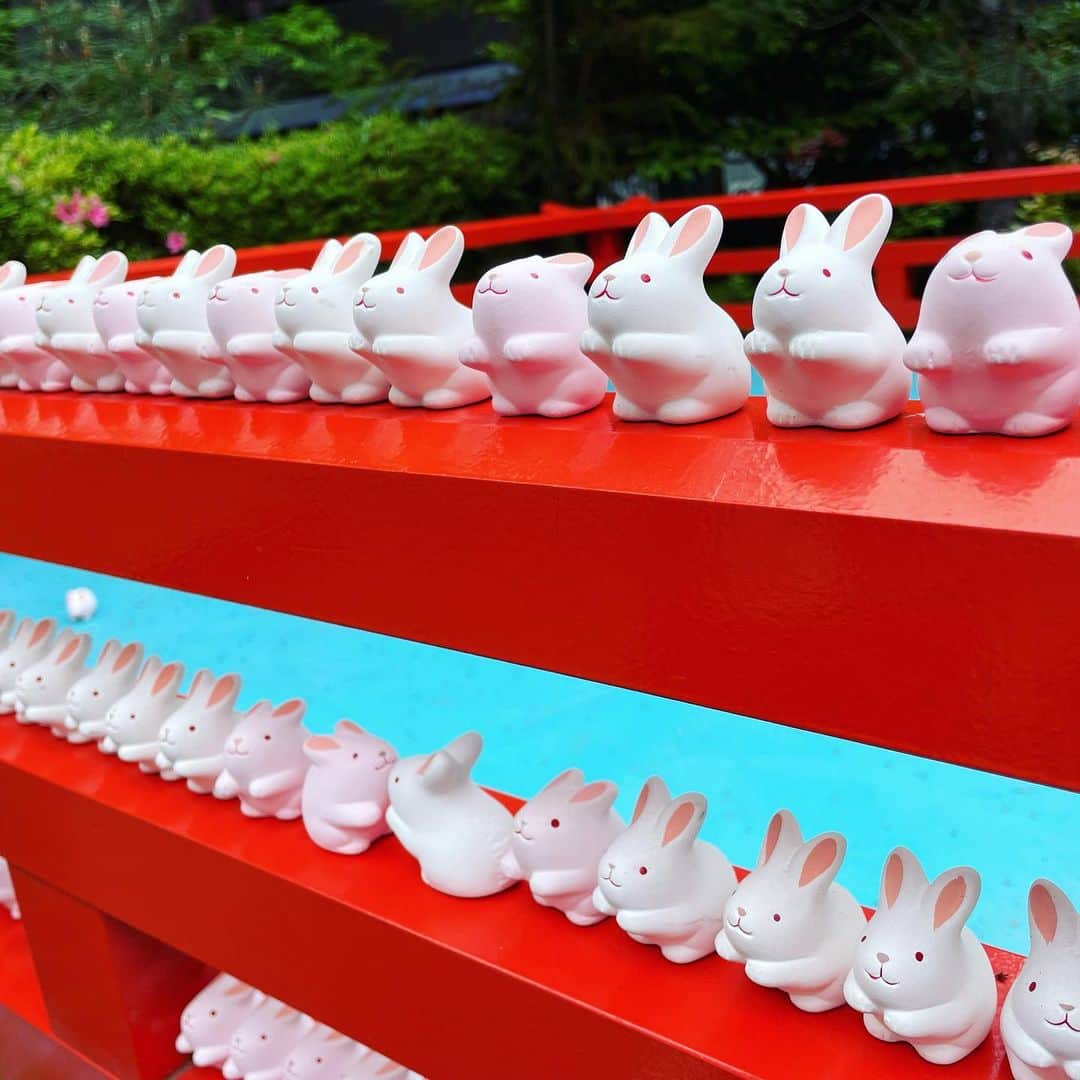 望月理恵さんのインスタグラム写真 - (望月理恵Instagram)「京都の想い出  岡崎神社⛩ 別名うさぎ神社  狛犬ならぬ狛うさぎに迎え入れられ、中に入ると至る所にうさぎがいます。 かつて辺り一帯が野うさぎの生息地で、うさぎが多産であることから子授け・安産、縁結びの神社として人気を集めているそうです。  とにかくうさぎが愛らしい！ 携帯電話の写真ホルダーがうさぎだらけになってました。  #岡崎神社 #うさぎ神社 #神社巡り#京都 #おみくじまでうさぎ」5月30日 13時35分 - mochiee28