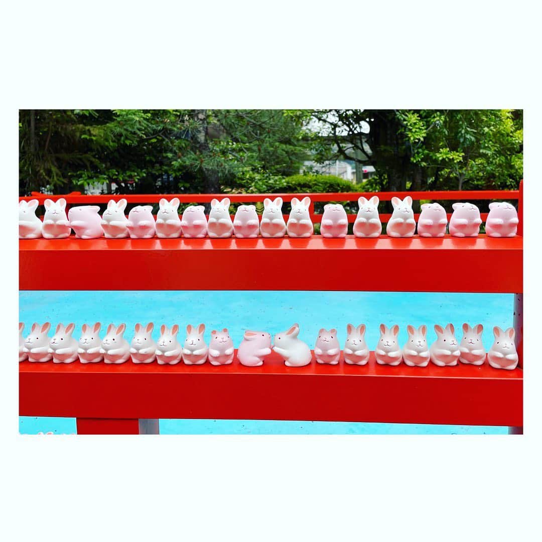 望月理恵さんのインスタグラム写真 - (望月理恵Instagram)「京都の想い出  岡崎神社⛩ 別名うさぎ神社  狛犬ならぬ狛うさぎに迎え入れられ、中に入ると至る所にうさぎがいます。 かつて辺り一帯が野うさぎの生息地で、うさぎが多産であることから子授け・安産、縁結びの神社として人気を集めているそうです。  とにかくうさぎが愛らしい！ 携帯電話の写真ホルダーがうさぎだらけになってました。  #岡崎神社 #うさぎ神社 #神社巡り#京都 #おみくじまでうさぎ」5月30日 13時35分 - mochiee28