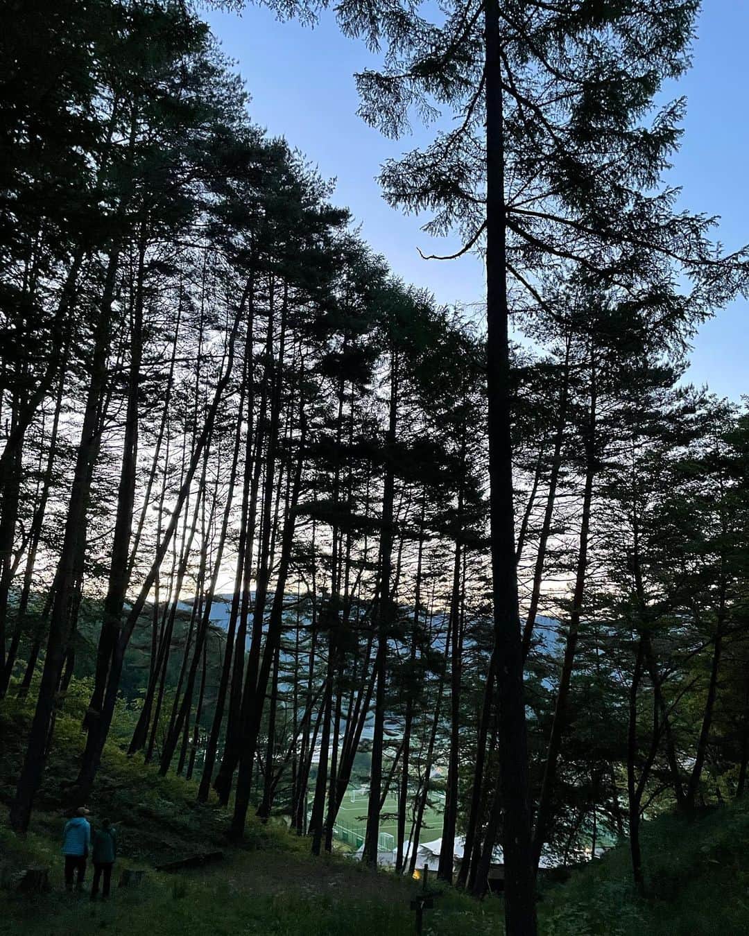 水原希子 さんのインスタグラム写真 - (水原希子 Instagram)「🌞𓂃𓂂𖡼.𖤣𖥧𓈒◌܀🌲🕊」5月30日 20時40分 - i_am_kiko