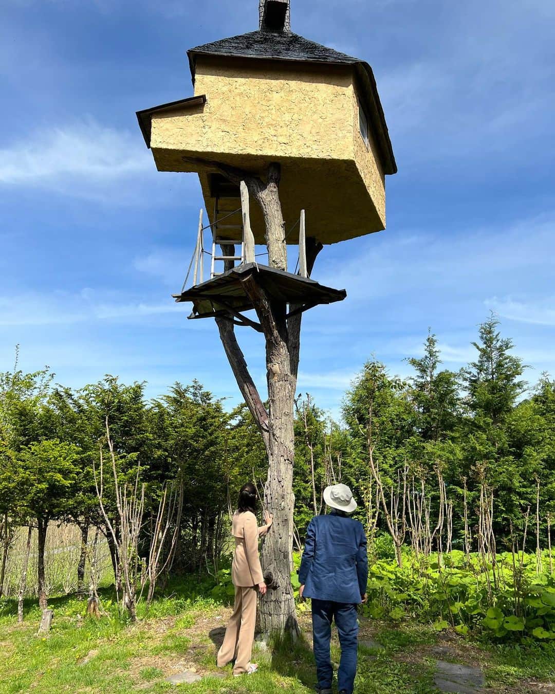 森星さんのインスタグラム写真 - (森星Instagram)「NHK SWITCH interview on air tonight 22:50  自然を生かした有機的な建築を手掛ける建築家の藤森照信さんと、 衣食住について貴重なお話ができました🌿  昨年始動した「暮らしを蝶和する」プロジェクト　@tefutefulab についても取り上げて頂きました🦋」5月30日 21時13分 - hikari
