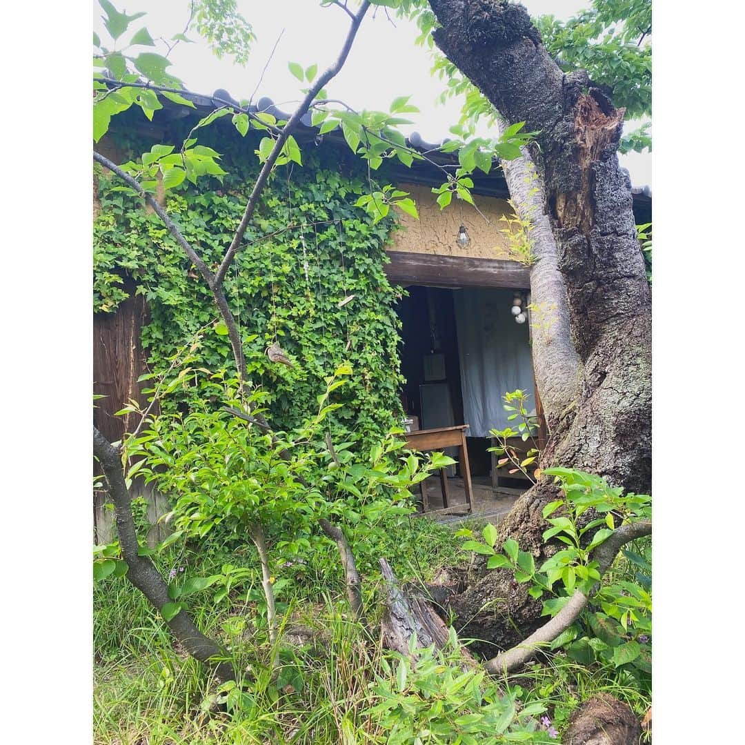 篠原真衣さんのインスタグラム写真 - (篠原真衣Instagram)「住宅街の中の異空間🌲🌳  虫たちとおともだちになる。 洋裁学校とギャラリーの奥にひっそりと営むカフェ。 姪を抱っこしていた両腕は蚊に刺されまくりました。姪を守ったぞということで👌。  サイフォンコーヒーでとても優しい気持ちになりました。 #隠れ家#洋服の篠原」5月31日 13時58分 - shinomai425