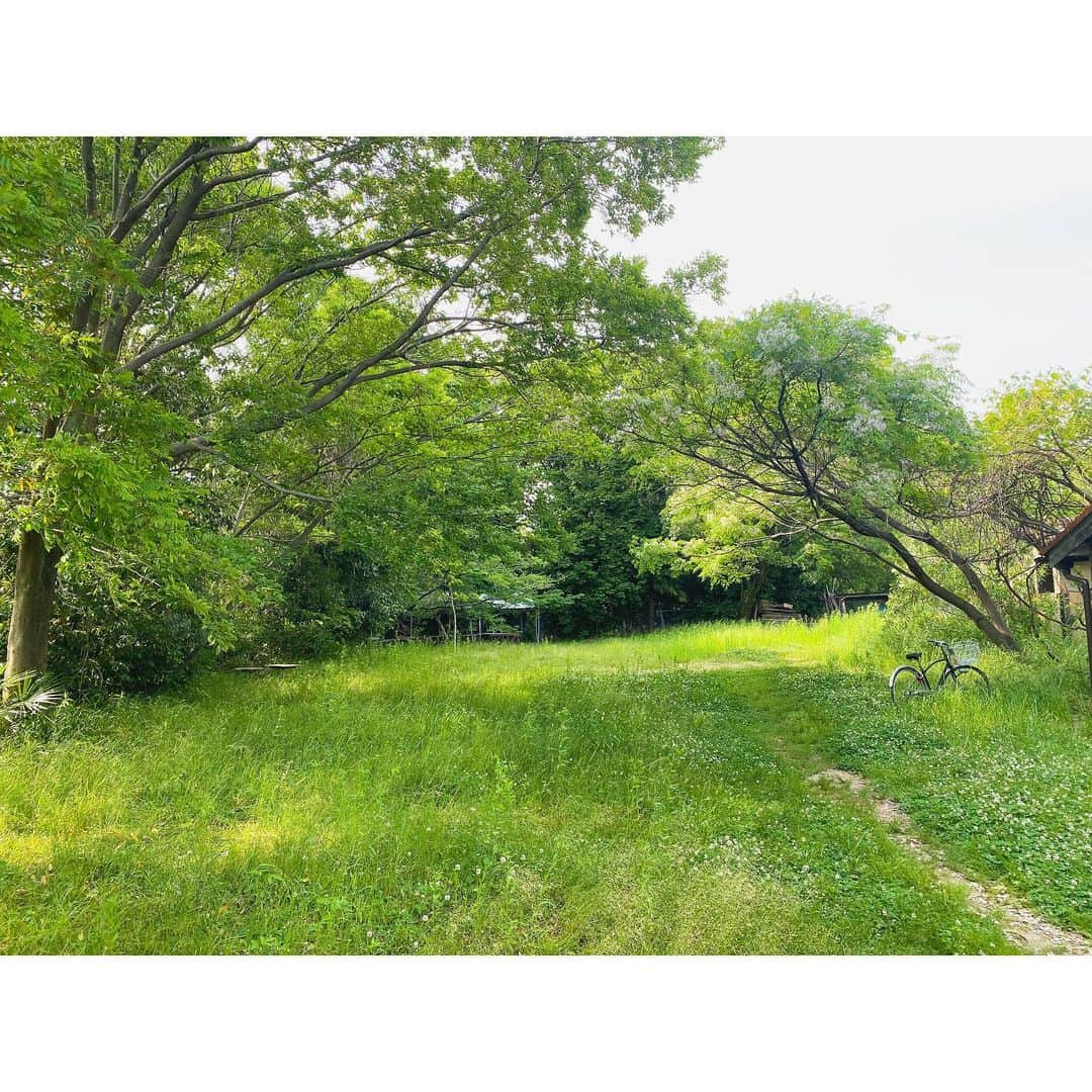 篠原真衣さんのインスタグラム写真 - (篠原真衣Instagram)「住宅街の中の異空間🌲🌳  虫たちとおともだちになる。 洋裁学校とギャラリーの奥にひっそりと営むカフェ。 姪を抱っこしていた両腕は蚊に刺されまくりました。姪を守ったぞということで👌。  サイフォンコーヒーでとても優しい気持ちになりました。 #隠れ家#洋服の篠原」5月31日 13時58分 - shinomai425