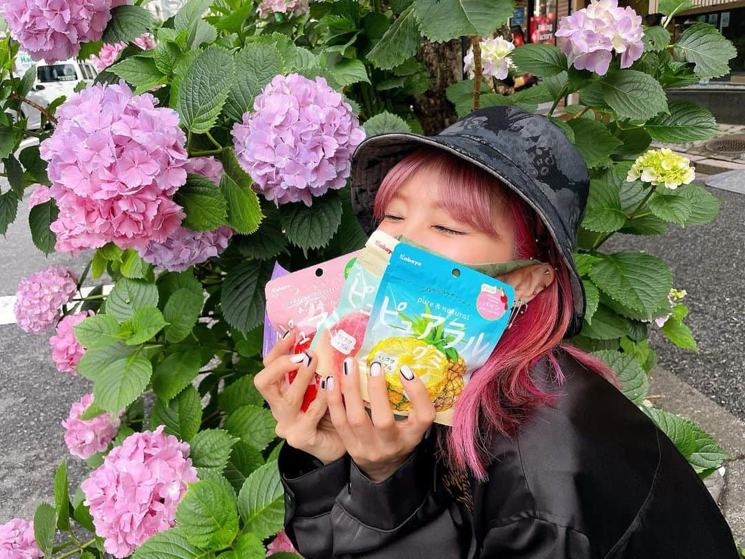 LiSAさんのインスタグラム写真 - (LiSAInstagram)「わたしもゲットしたっ🍇🍎🍑🍍  #ピュアラルグミ　のCM観てくれた？📺こちら▼ https://www.kabaya.co.jp/catalog/pureral/  CMソング「#シフクノトキ」この後0時より配信開始🎧 https://LiSA.lnk.to/Shifukunotoki  がんばった日も、がんばれなかった日も味わう日々の　#帰り道ソング　に加えてくださいっ☻  今日もお疲れ様☻  #紫陽花から6月のお知らせ」5月31日 20時54分 - xlisa_olivex