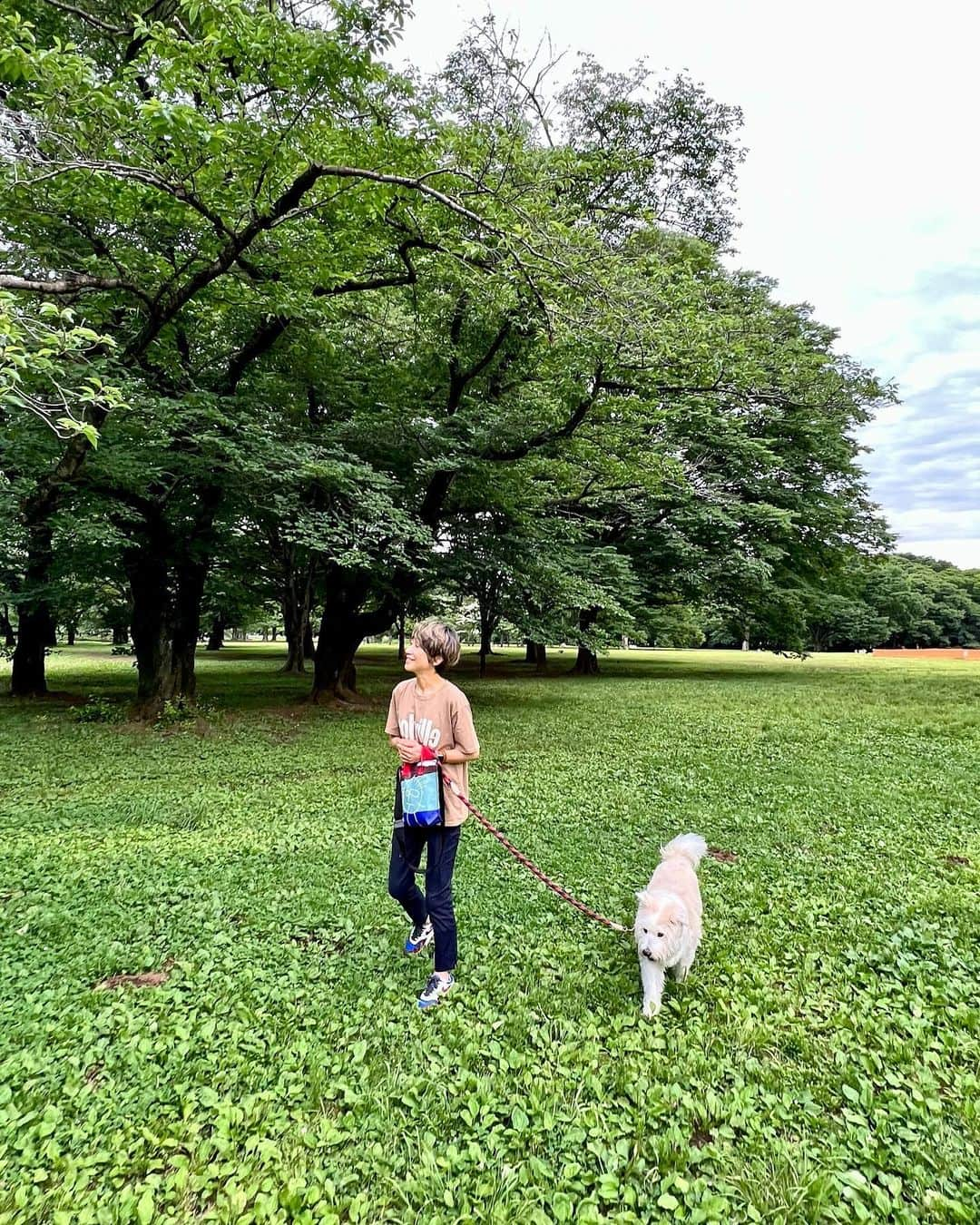 黒田知永子さんのインスタグラム写真 - (黒田知永子Instagram)「. とろ散歩🐕 薔薇の似合う男🌹  前の投稿の質問に答えて下さった皆様ありがとうございます😊 くだらない話で申し訳ない💧 正解はバッグの口が開いている、開いていない…でした。 私いつもバッグ開けっぱなしで、よく指摘されているのです。たまたま閉まっているのに気がついたので自分的におかしくてクイズにしました笑 半衿の色というお答えも多かったのですが、、確かに半衿の色が違って見えるけど紫陽花のグリーンが映っているのかな？と思います☺︎  #dog #犬 #雑種です #黒田とろろ #とろ散歩 #新緑がまぶしい季節  #黒田知永子  #chiekokuroda」6月1日 20時17分 - kuroda_chieko