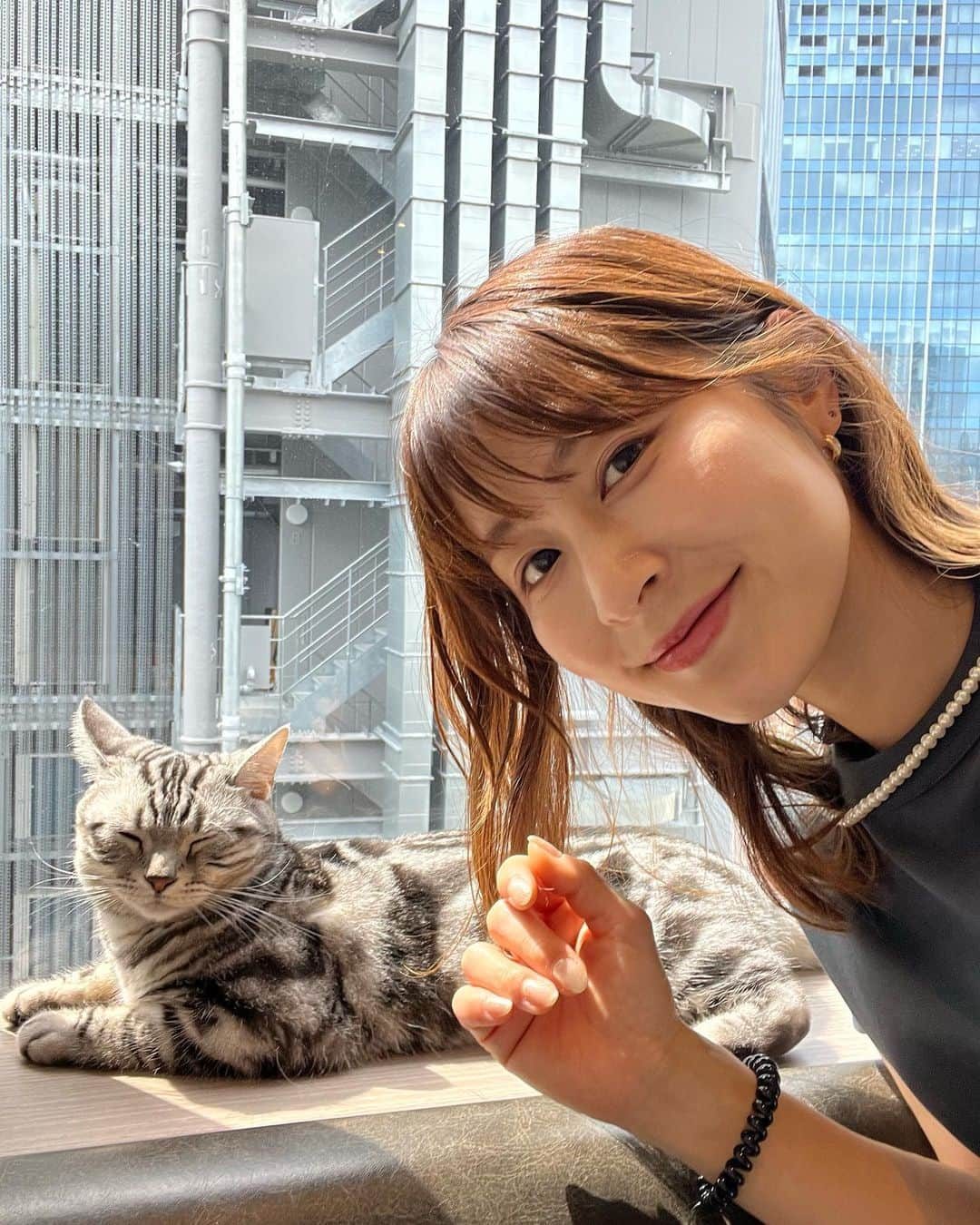 権田裕美さんのインスタグラム写真 - (権田裕美Instagram)「. みなさんの癒される瞬間はどんな時ですか？✨  私は、窓を開け深呼吸をしたときに 香ってくる朝の新鮮な空気に癒されたり、 夜にアニメを観ながらの晩酌タイム🍷 も癒される時間の一つです😋笑  この日は猫に癒されてきました🐈🤍  清潔感のある空間の中で、 可愛い猫たちと触れ合うことができました♪ 猫と触れ合いつつも、 漫画読み放題、フリードリンク付き🥤は最高条件でした🥰  扉を開けば夢の世界のようで、 カフェを訪れていた人たちの心が 自然と緩んでいたように感じます♪  母息子2人きりで動物園はなかなかハードルがかいですが、 猫カフェだったらさくっといけちゃうな🤍 . . . . @mocha.shibuya  . . . . . . . . . . . . . . . #猫カフェmocha#猫カフェ#PR#渋谷猫カフェ#渋谷カフェ#渋谷センター街店  #mamagirl #食育#おうちごはん#食べ方#グルテンフリー#オーガニック#痩せる食事 #痩せる方法 #ゆみヨガ #ユミトレ#ノーファンデお肌#薬膳コーディネーター ネーター#低カロリー高タンパク質#ダイエット方法#痩せ方#むくみ解消 #むくみ改善 #筋膜リリース#膝下痩せ #フォームローラー#トリガーポイント#ヨガウェア#ヨガインストラクター」6月1日 21時58分 - yumigonda