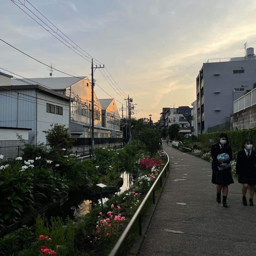 ローレン・サイさんのインスタグラム写真 - (ローレン・サイInstagram)6月1日 22時29分 - laurentsai