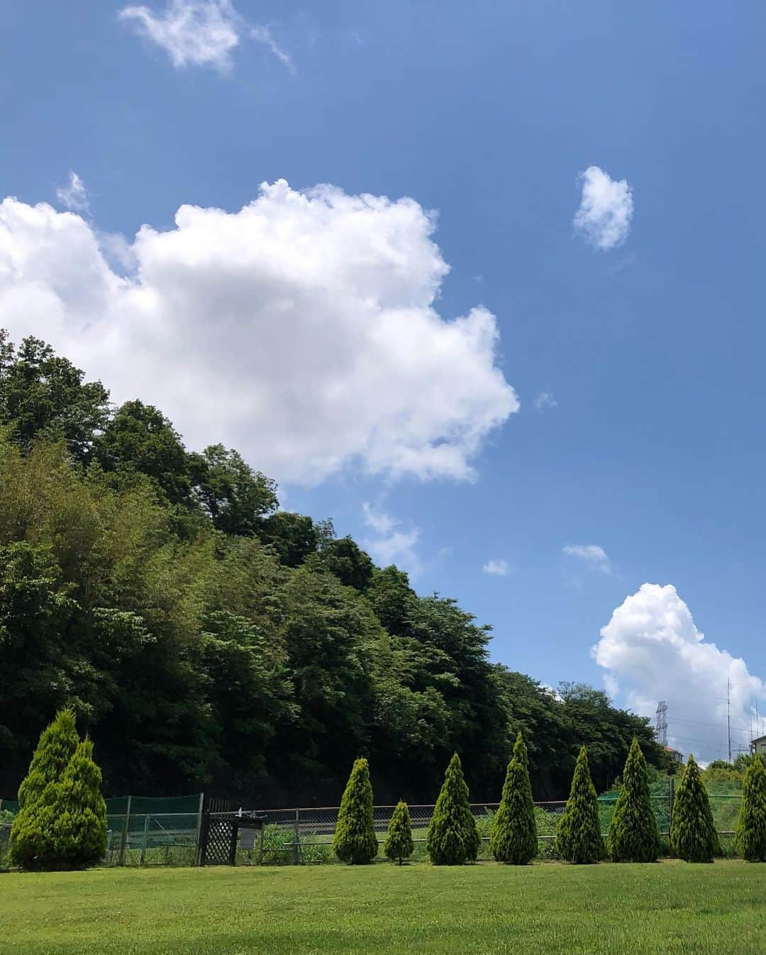 小野真弓さんのインスタグラム写真 - (小野真弓Instagram)「こんにちは😆 太陽ジリジリ🌴🌺🌞夏空です✨ でもか風が爽やか〜🍃 ハナハルと、ドッグランらんらーん🐶🐶🙋‍♀️ ＼(^ω^)／  ネロくん🐈‍⬛ フリーにしてみたら、、 我が家に、ずっと居た子かのように 馴染んでいます😂✨ 順応性が素晴らしい〜💮  怒らにゃい ケンカを売らにゃい ケンカを買わにゃい 甘え上手 性格はなまる男子ですにゃ🐈‍⬛❤️  #チワワ#ハナちゃん #チワマル#ハルくん #雑種猫兄妹#アオくん#ナナちゃん #預かり猫#黒猫#ネロくん#エイズ白血病陰性  #犬と猫のいる暮らし#ドッグラン#晴天青空#犬猫日記#千葉暮らし」6月2日 14時43分 - hanaharuaroi