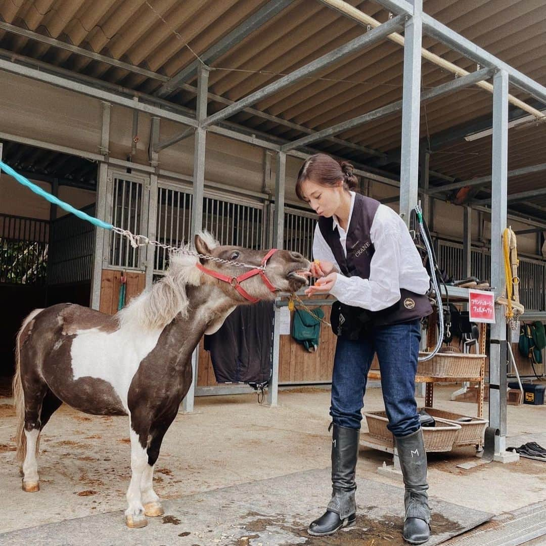 中条あやみさんのインスタグラム写真 - (中条あやみInstagram)「優しい馬さん達と触れ合っていると　穏やな気持ちにさせてくれる。。  今回はみやもっさんも参加🐴  乗馬プチ先輩として抜かされないようにしないと！笑  お腹ぺこぺこよだれまみれポニーも可愛かったーー🤍」6月2日 16時49分 - nakajo_ayami