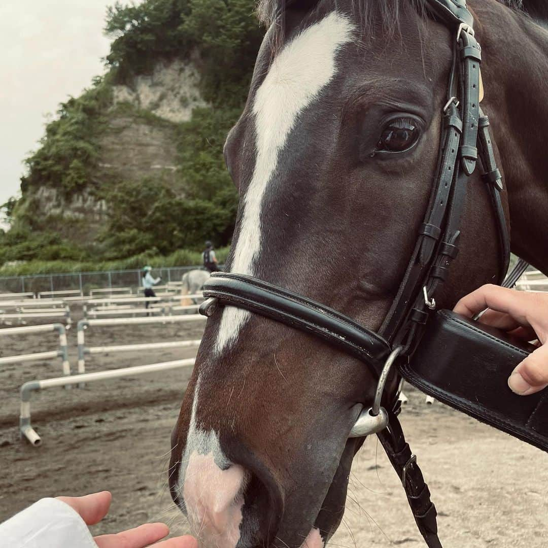 中条あやみさんのインスタグラム写真 - (中条あやみInstagram)「優しい馬さん達と触れ合っていると　穏やな気持ちにさせてくれる。。  今回はみやもっさんも参加🐴  乗馬プチ先輩として抜かされないようにしないと！笑  お腹ぺこぺこよだれまみれポニーも可愛かったーー🤍」6月2日 16時49分 - nakajo_ayami