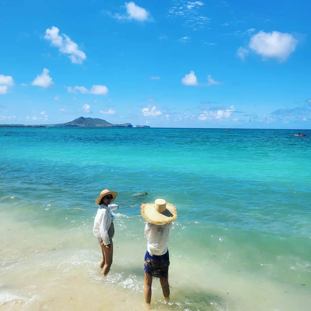 チョン・ヘビンさんのインスタグラム写真 - (チョン・ヘビンInstagram)「거북이!!!거북이!!!!  🐢 🌴 ⛱ 야생 바다거북이를 보면 행운이 온대요 🍀」6月2日 20時56分 - heavenbin83