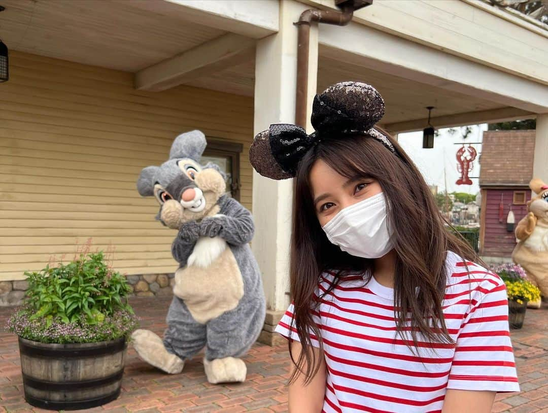 山尾梨奈さんのインスタグラム写真 - (山尾梨奈Instagram)「〻 キャラクターを見つけると どんなに急いでても足が止まっちゃう！ みんな本当にかわいいね🥹🫶. . . #disney #tokyodisneysea #tokyodisneyresort #東京ディズニーシー #東京ディズニーリゾート #ディズニーシー #ケープコッド #ミスバニー #とんすけ #アメリカンウォーターフロント #プルート #メディテレーニアンハーバー #ピノキオ #ジミニー #ジミニークリケット #ドナルド #ドナルドダック #デイジー #デイジーダック #マーメイドラグーン #グリーティング #キャラクターグリーティング #キャラグリ #ディズニーグリーティング」6月2日 21時18分 - yamarina_1210