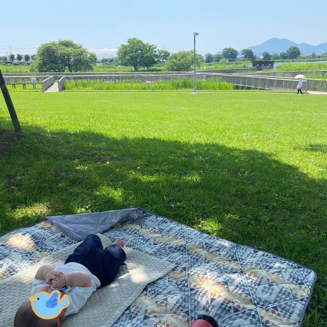 黛英里佳さんのインスタグラム写真 - (黛英里佳Instagram)「⁡ ⁡ 最近少し疲れていたので元気をチャージしに江津湖へ🍀 ⁡ ⁡ 平日だったので人も少なくのんびり過ごせました😊 ⁡ ⁡ 少し風が強かったので荷物を入れるキャリーワゴンをベビーベッドに👶 ⁡ べんり😳✨ ⁡ ⁡ さぁ〜またがんばろう〜😆💕 ⁡ ⁡ #江津湖#熊本#パワースポット#もうすぐ6ヶ月」6月3日 15時22分 - erikamayuzumi_official