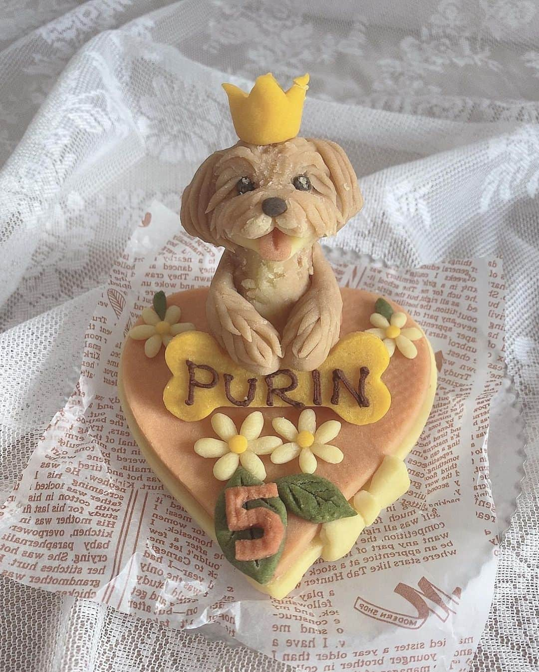 一ノ瀬恋さんのインスタグラム写真 - (一ノ瀬恋Instagram)「Happy birthday🎂ぷりん🐶❤️ ぷーちゃん5歳になりました🫶 相変わらずケーキにはそんなに興味がなく、ころんのがガッツキやばかった😮‍💨 ケーキじゃ中々笑顔にならなかったけどお散歩いったら(ラストの写真)この笑顔📸❤️ 2匹ともお散歩大好きです🐶  毎年ケーキはインスタで検索かけてオーダーしてます❤️ 今回は @dogcakelovina 🐶 とーってもかわいくないですか？😳😳😳💕 食べちゃうのが勿体ないレベル🫣  毎年言ってるけどぷーちゃんも健康で長生きしてね❤️ 大好きな家族の投稿でした🥰  #愛犬誕生日 #犬用ケーキ  #マルプー #犬のいる暮らし  #犬バカ部」6月3日 16時20分 - mayu19900323