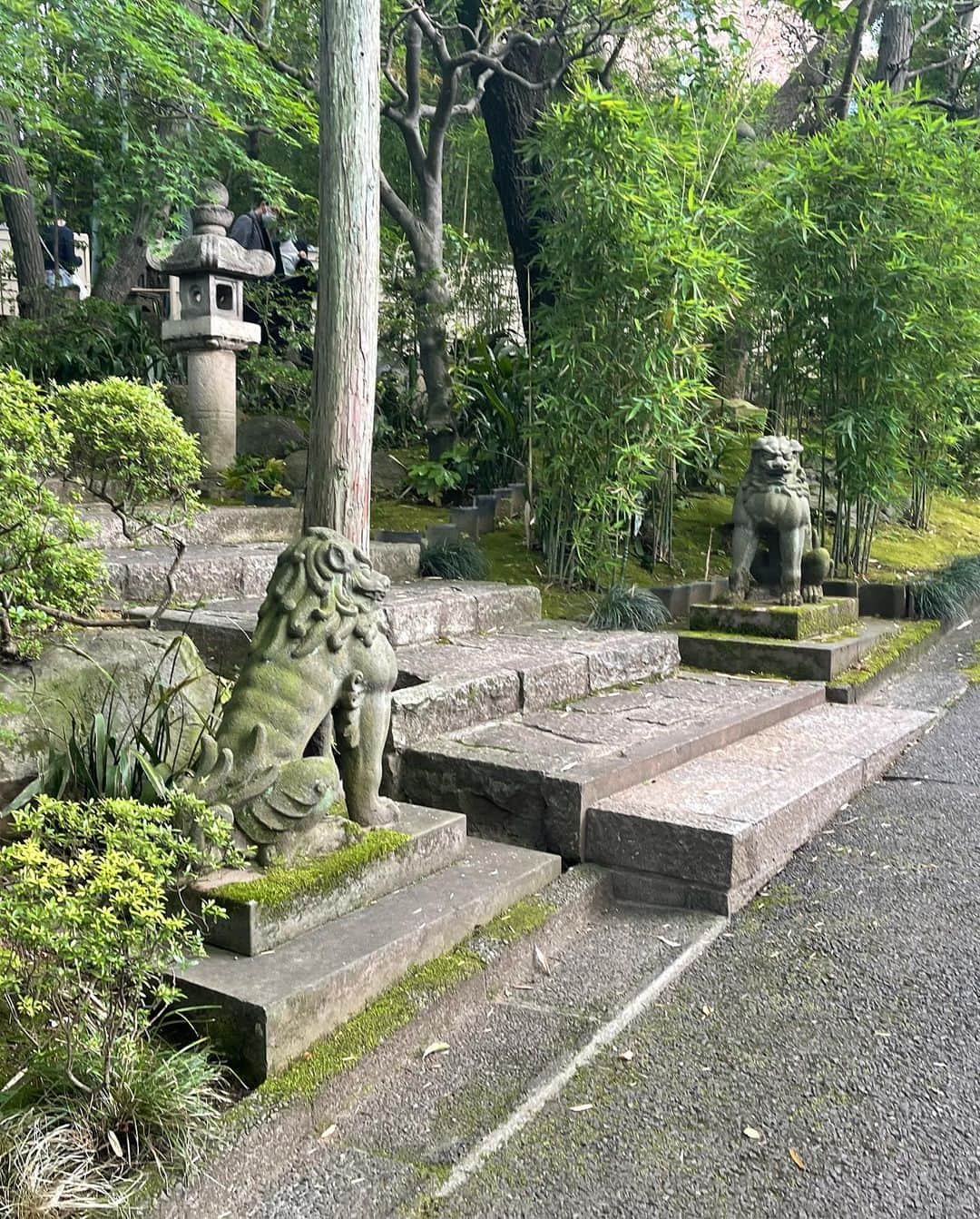 三浦瑠麗さんのインスタグラム写真 - (三浦瑠麗Instagram)「土曜の授業から帰ってきたら、浴衣を着せることになって、そのまま青山にお散歩に。 昼ごはんをしてから、根津美術館の庭を散策。 帰りはへとへとになったちびさんでした。」6月4日 20時43分 - lullymiura