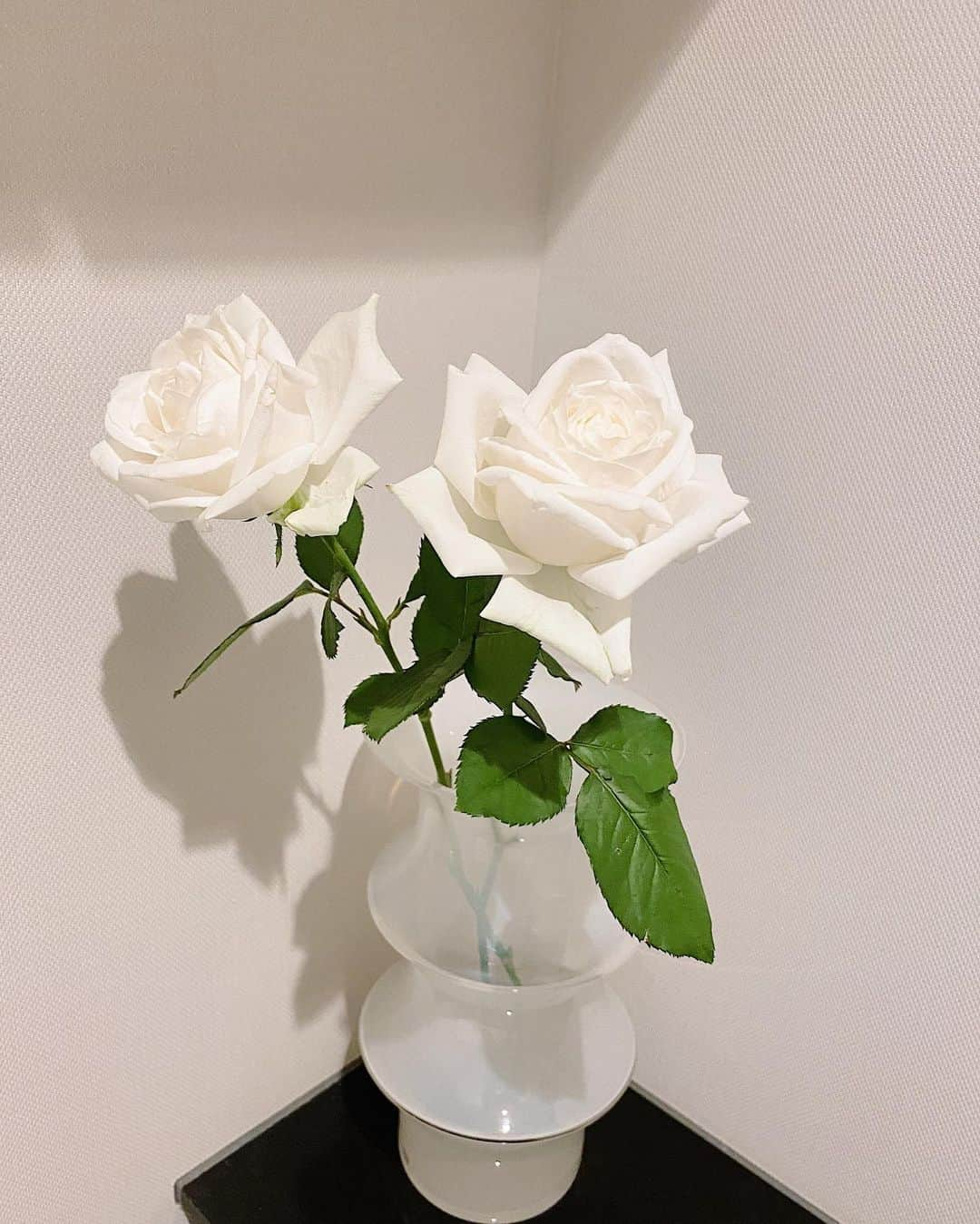 谷まりあさんのインスタグラム写真 - (谷まりあInstagram)「🤍 #maria_flower」6月4日 21時11分 - mariaaaa728