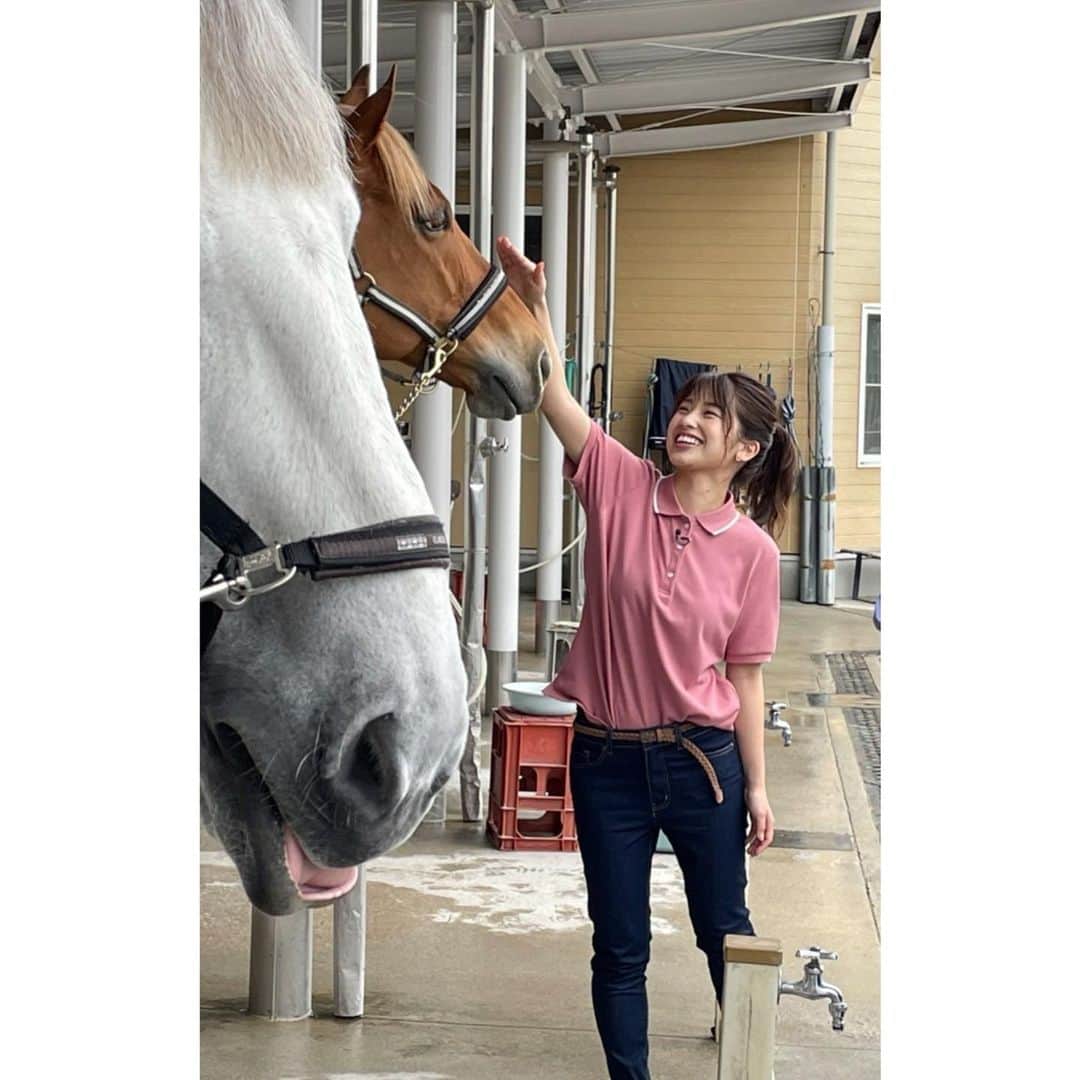 舘山聖奈さんのインスタグラム写真 - (舘山聖奈Instagram)「『EVERGREEN 』 日曜あさ11時45分〜放送しています！ ⁡ みんなで競馬場を探検しています！ 馬は近くで見るとより一層美しく可愛いです✨ ⁡ #EVERGREEN #エバフレ #阪神競馬場 #カンテレ」6月5日 10時02分 - seina_tateyama_