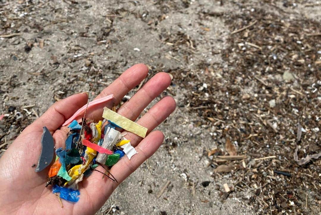 前田有紀さんのインスタグラム写真 - (前田有紀Instagram)「今日6月5日は、環境の日。各地で地球環境を考えるさまざまなイベントが開催されていましたね。  我が家は、ささやかすぎるのですが、みんなで由比ヶ浜でビーチグリーンをやりました。日頃遊びに来ている海も、ゴミ拾い目線で砂浜をまじまじ眺めていると、本当にたくさんのゴミが落ちている。使い終わったマスク、お菓子の袋、おもちゃのカケラ。そして、砂に顔を近づけてみると思っていたよりもたくさんの小さなプラスティックゴミ、ビニールかけらが砂の中に入り混じっていました。きっと故意に捨てたものばかりではなくて、風に飛ばされてしまったものや気がつかないうちに流れ着いたものもあると思う。 でも、砂浜にあるものがいまの海の現状を伝えているように思えたので、海のある町に住む人間として、これからも向き合うべきこと。ごく当たり前のこととして続けていこうと思います。  #鎌倉暮らし」6月5日 21時22分 - yukimaeda0117