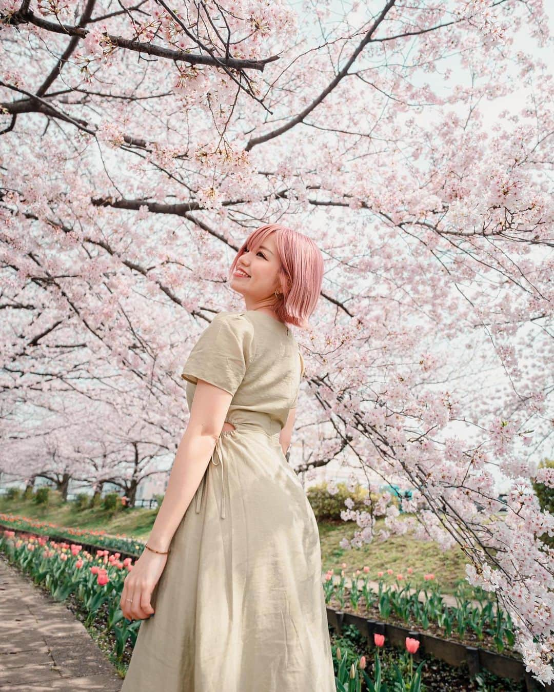 みきでりさんのインスタグラム写真 - (みきでりInstagram)「Sakura memories🌸🌷🍃 今年もあやねさんに素敵に撮影していただいた📸.˚❀ いつも本当にありがとうございます🫶🏻💖 日頃から活躍しっぱなしのあやねさんと 仲良く出来て撮影してもらえて光栄です🥹✨ 今度またデートできるの楽しみっ！♥︎  photographer: @ayane7628 ㅤ ㅤ ㅤ ㅤ ㅤ ㅤ #portrait #cherryblossom #ポートレート #ポートレート女子 #フォトスポット #江川せせらぎ緑道 #カラグレ #カラーグレーディング #ポートレート撮影 #ポートレートモデル」6月5日 23時16分 - mikidelicious