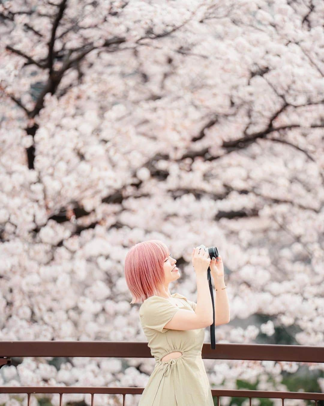 みきでりさんのインスタグラム写真 - (みきでりInstagram)「Sakura memories🌸🌷🍃 今年もあやねさんに素敵に撮影していただいた📸.˚❀ いつも本当にありがとうございます🫶🏻💖 日頃から活躍しっぱなしのあやねさんと 仲良く出来て撮影してもらえて光栄です🥹✨ 今度またデートできるの楽しみっ！♥︎  photographer: @ayane7628 ㅤ ㅤ ㅤ ㅤ ㅤ ㅤ #portrait #cherryblossom #ポートレート #ポートレート女子 #フォトスポット #江川せせらぎ緑道 #カラグレ #カラーグレーディング #ポートレート撮影 #ポートレートモデル」6月5日 23時16分 - mikidelicious