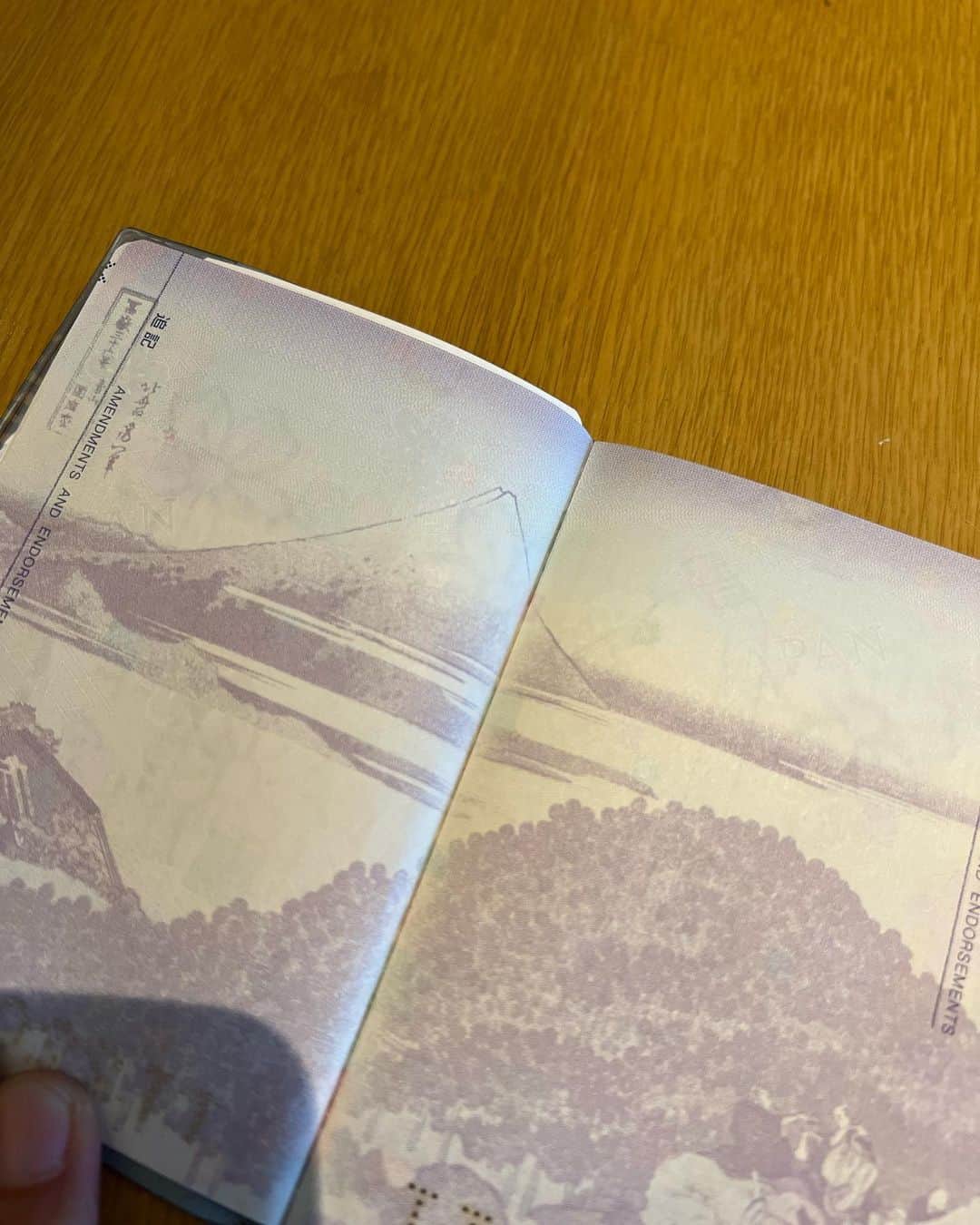 窪塚洋介さんのインスタグラム写真 - (窪塚洋介Instagram)「新しいパスポートにしたら内装変わっててイイネ👍」6月6日 18時02分 - yosuke_kubozuka
