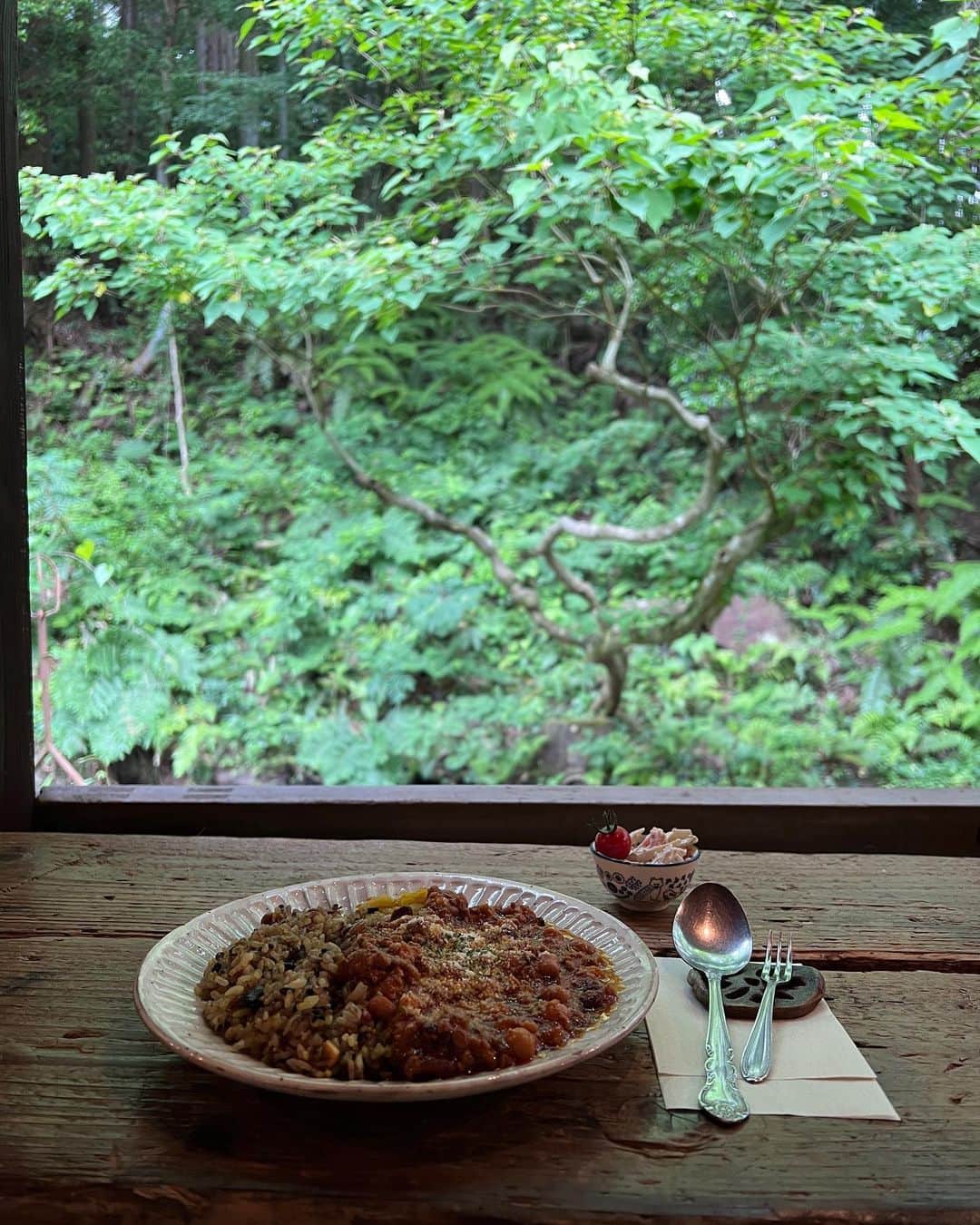 田中優衣さんのインスタグラム写真 - (田中優衣Instagram)「先日いったカフェが素敵すぎた🌱 道のりは険しかったけど とっても素敵でした。 オーナーさんがとにかく優しい方。 猫好きさん必見です👀」6月6日 18時54分 - heisei_8nen