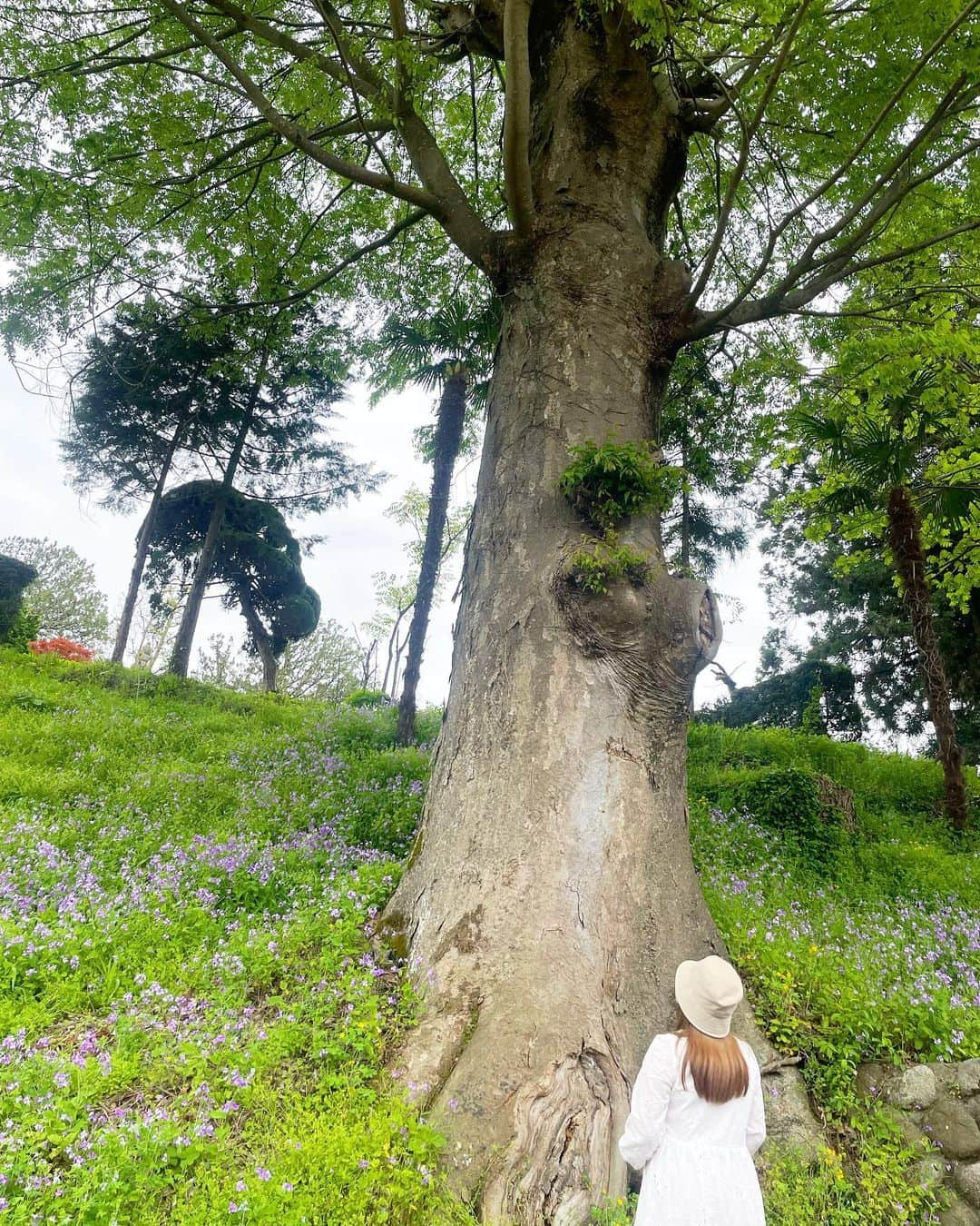 河西智美さんのインスタグラム写真 - (河西智美Instagram)「先日、おばあちゃんのお墓参りに行った日😌🤍  大好きなおばあちゃんに 最近の近況など、いろんな話をたくさん報告してきました🤍  ひ孫を見せたかったなぁ。。  でもきっと、、 お空から見守ってくれているよね🤍」6月6日 19時51分 - chiyu3u