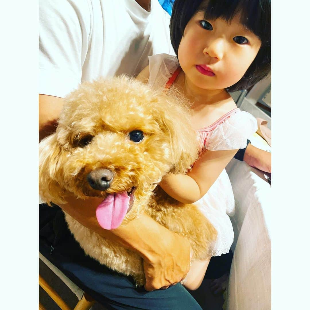 坂田陽子さんのインスタグラム写真 - (坂田陽子Instagram)「@shimojimac 千穂ちゃんの家で 出張シェフを呼んで頂きファミリーディナー🍽 ・ 高野シェフによる、 超絶しっとり鶏胸肉のサラダに 旨味凝縮ポルチーニ茸のフランのスープ。 桜海老の風味たっぷりトマトパスタ、そして栗を食べて育てられたスペインのガリシアポークは、 脂は甘くそれでいてあっさり。ジューシーで柔らか〜😍 デザートのブランマンジェまでのコースメニューを 小さい子やワンコが居てもゆっくり堪能させていただきました！ （下島家3女ちゃんとかるた🐩は仲良し😊） https://kt-chef.net/ 高野シェフ、ご馳走様でした😆 ・ このディナーの目的は 進路で悩む高3息子に 下島家の古くからの友人であり、 元プロ車椅子バスケの選手から転向し パラアイスホッケー平昌パラリンピック日本代表の、 ホーリーこと堀江航さんに会わせていただく事。 ・ 自分が何者なのか、 どうしたいのか、反抗期というより 現実との狭間で「揺らぎ期」真っ只中の息子は、親の目線からあれこれ言うよりも、 う自分の力で海外に飛び出して人生を切り拓いたホーリーの話なら素直に話に耳を傾けてくれるかな、と。 ・ 案の定、速攻でホーリーとバスケの話で盛り上がり、 海外に興味のある息子は目をキラキラさせてホーリーの武勇伝に聞き入ってた😊 これからやるべき事のヒントを得たようで、何やら付いていたものが落ちた様な、スッキリしたご様子🤣 ・ ここのところ、 イライラしてる息子を見てるとこちらもイライラして（逆かな🤣？）お互い優しくなれないというストレスフルな日が続いていたけど 彼なりに自分と向き合おうとするからこそ、悩み苦しんでもがいていたんだな、と。もう少し息子を信頼して もっともっと褒めてあげようと私も反省できた。 ・ これから目標に向けて気持ちも新たに頑張って欲しい。決めたからには全力でサポートするから‼️ ・ ホーリー、千穂ちゃん、そして結構良い事言ってくれてたユタ🤣 ありがとう😆😆❤️ ・ #久々投稿で長文て何よ ・ #堀江航　#ホーリー #車椅子バスケ　#パラアイスホッケー　 #出張シェフ #bienclair #ビアンクレール #ファミリーディナーと見せかけて #進路相談 #高3息子　#何者にだってなれる」6月7日 10時32分 - yokosakata