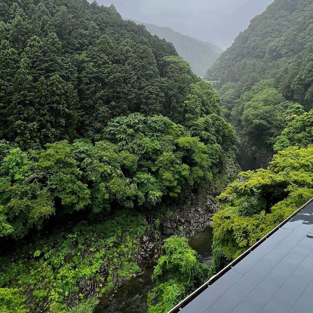 小田飛鳥さんのインスタグラム写真 - (小田飛鳥Instagram)「以前、鳩ノ巣渓谷に行った時に、「こんな所で泊まれたらな〜」なんて思いながら歩いてたら突如現れた建物。それが #はとのす荘 でした🕊 全てのお部屋が渓谷側にあり、ヨガマットを借りて川のせせらぎと鳥の囀りを聴きながらリフレッシュ🧘🏻‍♀️ #吹上しょうぶ公園 と #澤乃井 の #小澤酒造 さんの酒蔵見学にも行きました🍶 #鳩の巣釜飯 さんのやまめのお刺身も最高〜🥹 #奥多摩 #鳩ノ巣 #母娘旅」6月8日 10時01分 - asuka_oda_0320