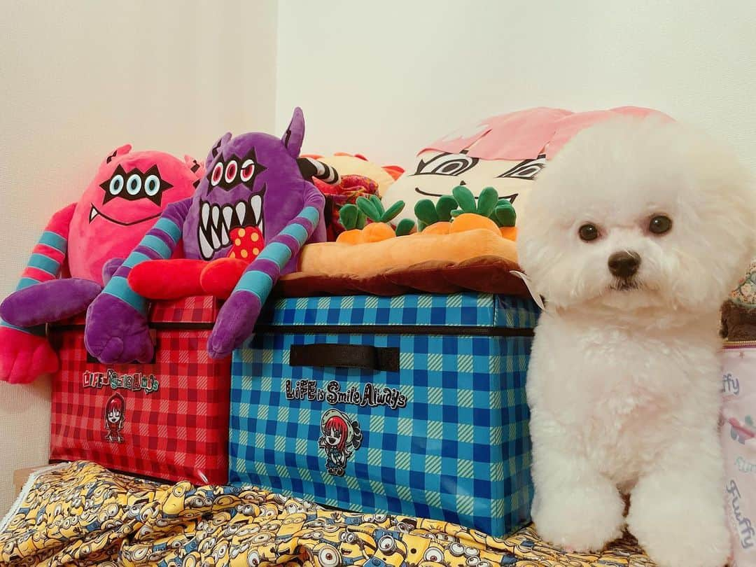 LiSAさんのインスタグラム写真 - (LiSAInstagram)「並べるのかわいい🥰🎁🎁🍩🍩🥕🦁🐶  枕にバスタオルひいたら一緒にゴロゴロできるね🥤大きめサイズたすかる🦄  #おうちりさ のお知らせは明日のお昼にするので待っててね🏠 今回も可愛いのでお楽しみにっ🍍やっぱり夏好きだなぁ〜☻♡🍦」6月8日 19時48分 - xlisa_olivex