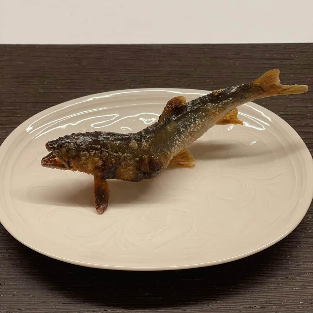 木本泉さんのインスタグラム写真 - (木本泉Instagram)「- "久丹"  今回は"鮎"  大好物の鮎でした😋 お祖父ちゃんが大好物で、一緒によく食べたな〜と食べるたびに思い出します😌  今回もお腹一杯いただきました！  #久丹#新富町和食」6月9日 0時48分 - izumikimoto