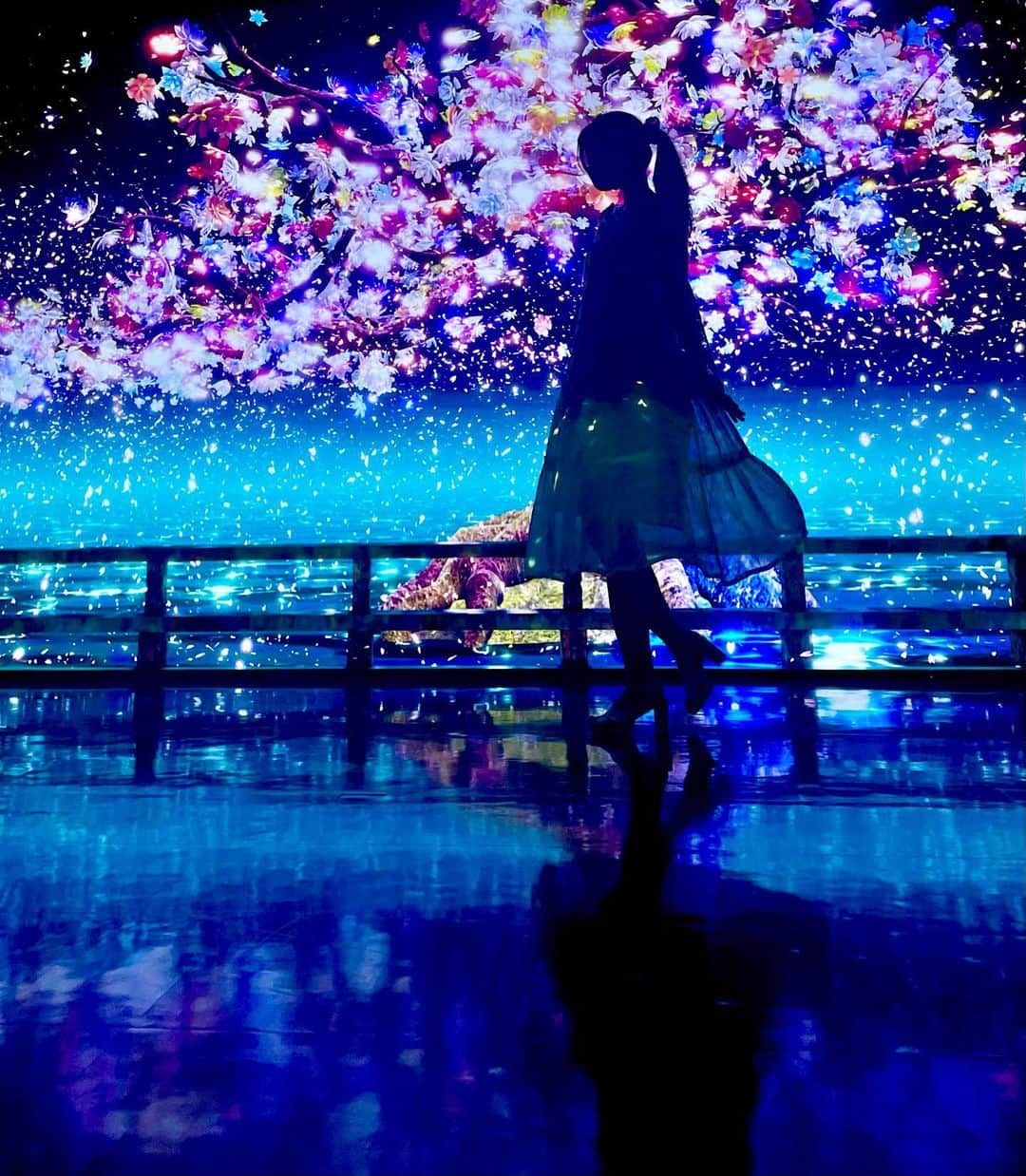 九条ねぎ あぴるさんのインスタグラム写真 - (九条ねぎ あぴるInstagram)「sakura Projection Mapping🌸  I had the experience of making cherry blossoms with brain waves!  The cherry blossoms created by me and konegi were labeled as sleepy.🤣  脳波で自分の桜を咲かせる体験したよ☺️楽しかった！ ねぎとこねぎはのサクラは眠いて書いてあった🤣🤣ww   #ginza #projectionmapping #japan #tokyo #japantrip #願いツナグサクラ」6月9日 15時21分 - negi_kujyo