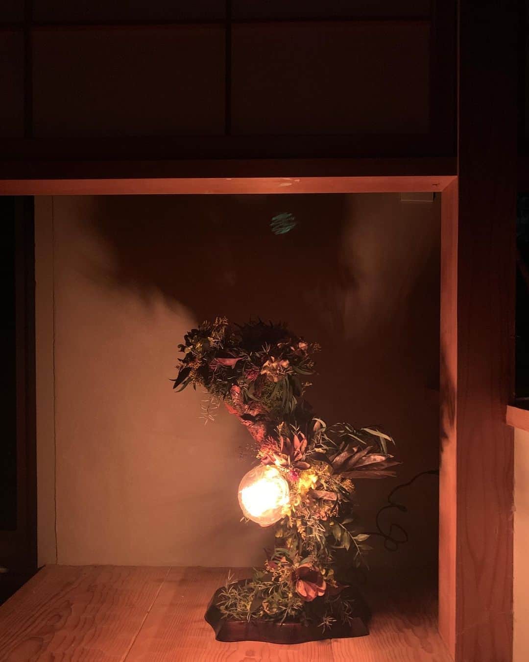大橋未歩さんのインスタグラム写真 - (大橋未歩Instagram)「家の大好きな照明 @ubli_japan   これ本物の植物をドライにしたものなんですよ😳 素敵ですよね✨ 盆栽のように風情がありながら 華やかだけどシャビーで（姫みたいになっちゃったw) とても好きなインテリア。  こちらもインテリアコーディネートを手がける @daigo_works さんが繋いでくれたご縁☺️  さて明日は地元神戸でお仕事だぁ✨ 嬉しいな🥰  #インテリア #照明  #神戸」6月9日 20時32分 - o_solemiho815