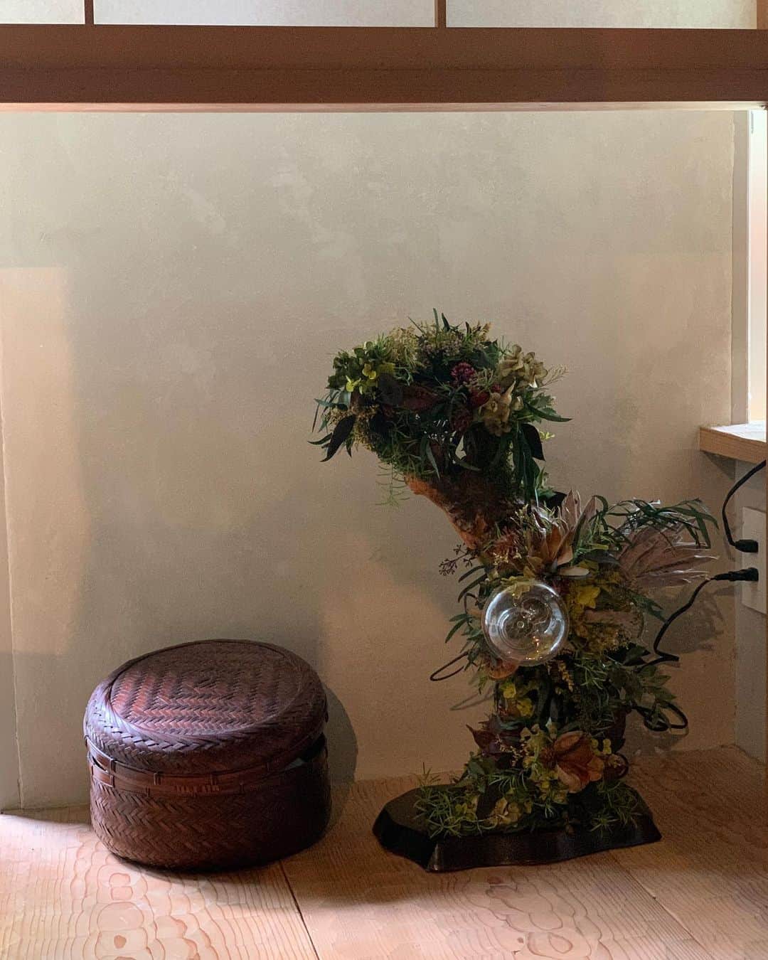 大橋未歩さんのインスタグラム写真 - (大橋未歩Instagram)「家の大好きな照明 @ubli_japan   これ本物の植物をドライにしたものなんですよ😳 素敵ですよね✨ 盆栽のように風情がありながら 華やかだけどシャビーで（姫みたいになっちゃったw) とても好きなインテリア。  こちらもインテリアコーディネートを手がける @daigo_works さんが繋いでくれたご縁☺️  さて明日は地元神戸でお仕事だぁ✨ 嬉しいな🥰  #インテリア #照明  #神戸」6月9日 20時32分 - o_solemiho815