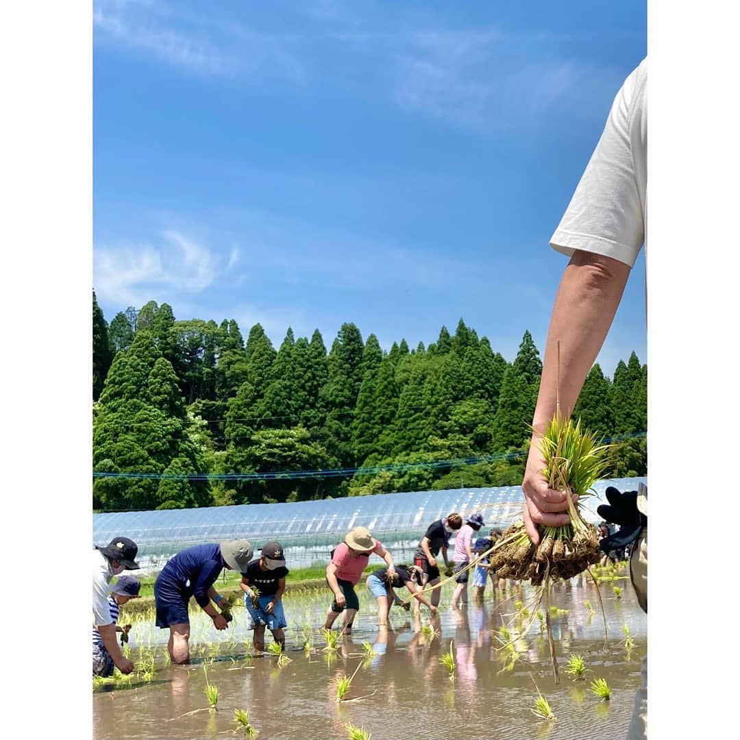 伴都美子さんのインスタグラム写真 - (伴都美子Instagram)「✔️ ⁡ 先日､親子で学ぶSDGs お米づくり体験プログラム 「お田植祭」に参加しました！ ⁡ 手植えはかなり久しぶり。 やり始めると夢中､ というかほとんど無心。 ⁡ みんながんばった〜！！ ⁡ 夏の草取り､ 秋の稲刈りにも参加します💪🏻 ⁡ ⁡ この日の模様は後日 KABくまパワ＋にてOnAirされます。 熊本の皆さんお楽しみに！ ⁡ ⁡ ⁡ ⁡ #ユナイテッドトヨタ熊本  #九州ジェネラルアグリ #お田植え祭」6月10日 11時37分 - van._doasinfinity