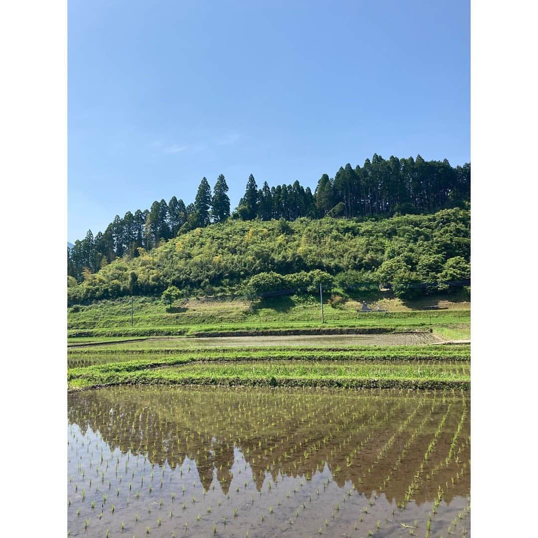 伴都美子さんのインスタグラム写真 - (伴都美子Instagram)「✔️ ⁡ 先日､親子で学ぶSDGs お米づくり体験プログラム 「お田植祭」に参加しました！ ⁡ 手植えはかなり久しぶり。 やり始めると夢中､ というかほとんど無心。 ⁡ みんながんばった〜！！ ⁡ 夏の草取り､ 秋の稲刈りにも参加します💪🏻 ⁡ ⁡ この日の模様は後日 KABくまパワ＋にてOnAirされます。 熊本の皆さんお楽しみに！ ⁡ ⁡ ⁡ ⁡ #ユナイテッドトヨタ熊本  #九州ジェネラルアグリ #お田植え祭」6月10日 11時37分 - van._doasinfinity