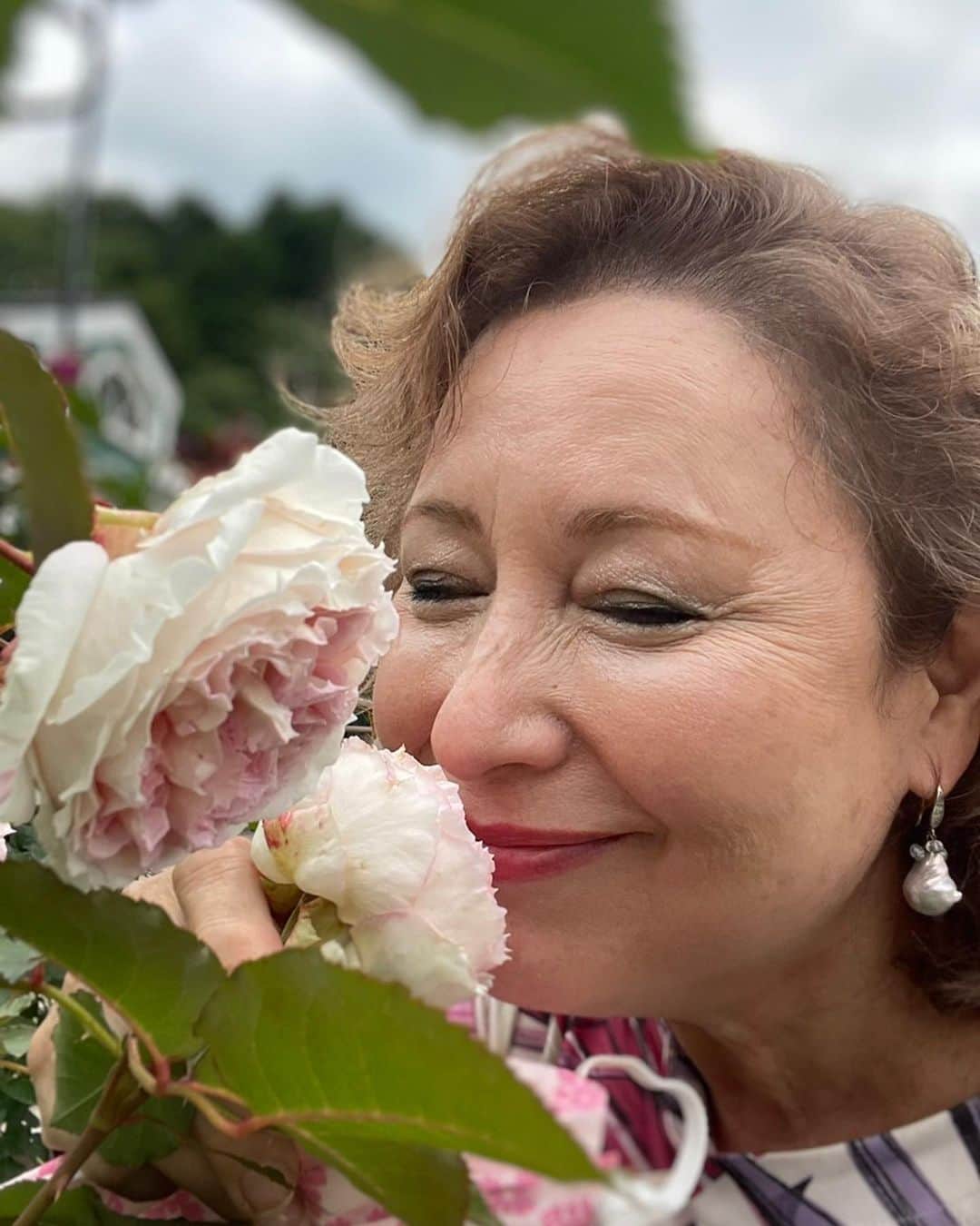キャシー中島さんのインスタグラム写真 - (キャシー中島Instagram)「* 午後、御殿場につきました。 キルトミュージアムは薔薇の季節を迎え🌹ばらが美しく咲いてます。 25年前までここに住んでいました。その頃庭を薔薇の園にしたくて頑張っていましたが、なかなか上手くいかず大変でした。 薔薇のことをほとんど知らないこともあり、諦めました。 今、我が家の横をバイパスが通り風が抜けるようになり。 びっくりするほど、薔薇が上手く咲いています。 6月いっぱいは薔薇が見れますよ。  ハワイアンステンシルの川島香織先生がキルトミュージアムの塀をハワイアンスタイルに変えてくれました。 ここを守ってくれるティキ、クー！ そしてジンジャーの花やバードオブパラダイスの花が綺麗です。 すごーーーく嬉しい😃😃😃 川島先生、ありがとうございました😭  さてミュージアムの小さなファームのキュウリが🥒収穫できるようになりました。 我が家なマーゴたちがきゅうり好きなので持って帰ります。  さて キャシーマムクッキーの初夏限定🍪オリジナルマスクプレゼント🎁たくさんのご注文ありがとうございます❤️  ご用意したマスクが少なくなりましたので、 今月25日で終了とさせていただきます。  ご注文はお早めにどうぞ  P.S.明日は名古屋の高島屋で、13時と15時の2回トークショーをします。 お近くの方会いに来てくださいませませ❣️」6月10日 21時24分 - official_kathynakajima
