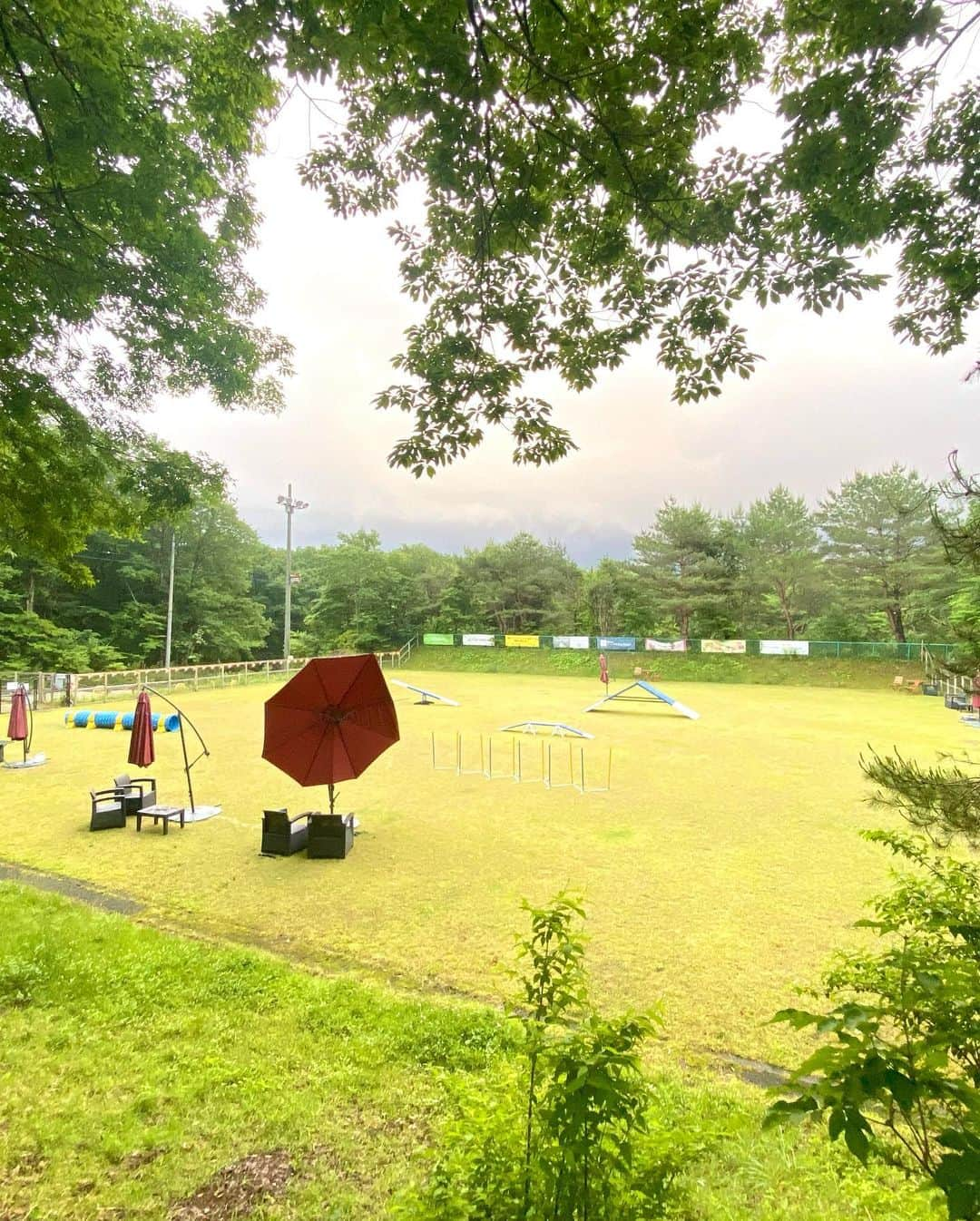 ririさんのインスタグラム写真 - (ririInstagram)「リボンが楽しそうで ホントにホントに 良かった☺︎  @hotel_foresthills 🌳  森林浴して たくさん走って 楽しみました😊  緑に囲まれた #ドッグラン 🐕🧡が 広いし最高だったょ‼︎  お部屋にもついてるけど その他にも3つくらいあったかな🤔🤔🤔？  お犬様🐕は嬉しい限り😆 リボンも大満足🎀  温泉付きだから のんびり 家族で過ごせました😊🌴  リボンが幸せそうで 良かった☺︎  ママもパパもhappy happy💕  PR @hotel_foresthills 🌳  #フォレストヒルズ那須 #ペットと泊まれる宿 #犬と旅行 #犬と休日 #ペットホテル #愛犬と旅行 #ペット可 #トリドリベース」6月11日 15時19分 - riri.ribon