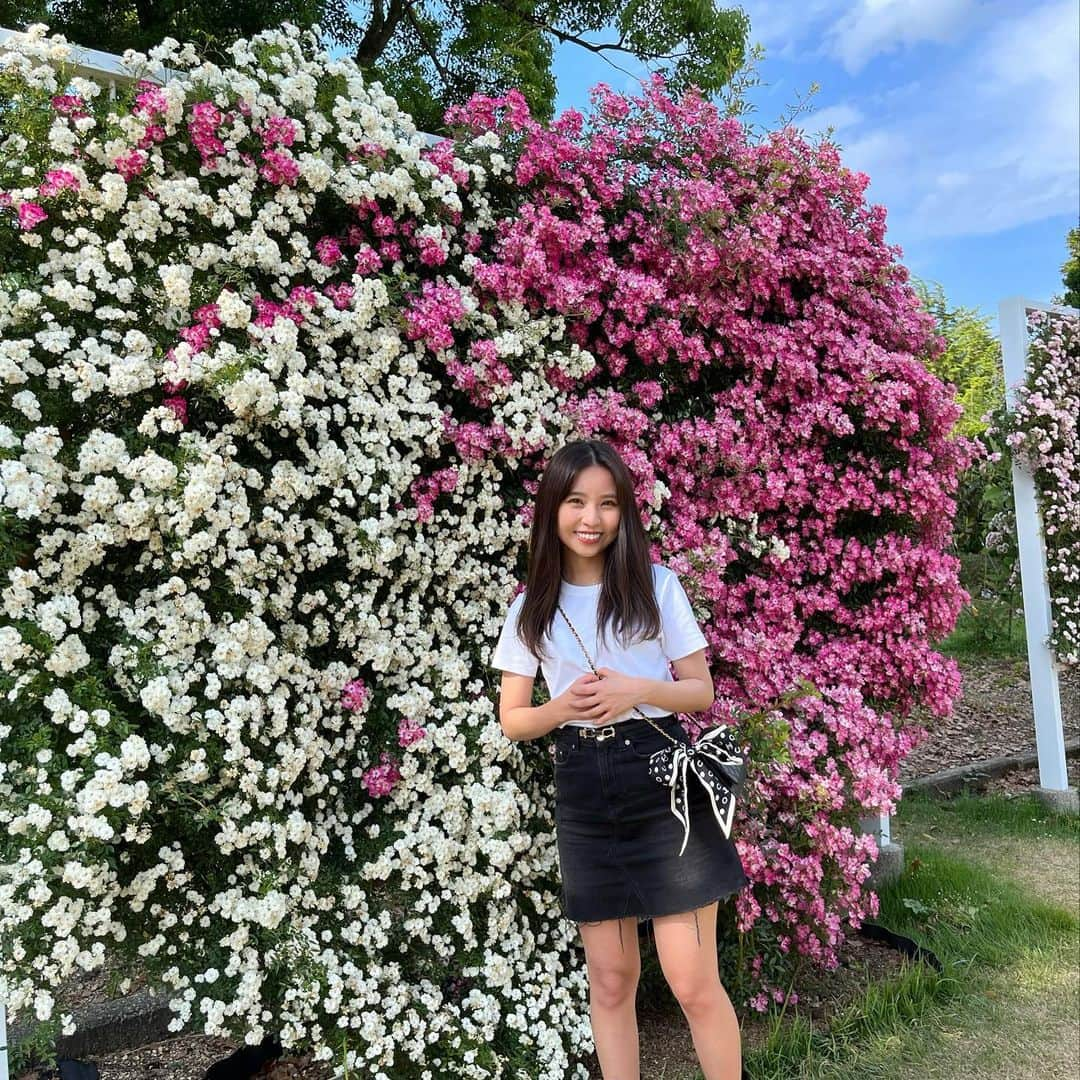 山尾梨奈さんのインスタグラム写真 - (山尾梨奈Instagram)「〻 植物園と川床を楽しんだ優雅な1日🪷 @momoka_hayashi さんと♡」6月11日 20時18分 - yamarina_1210