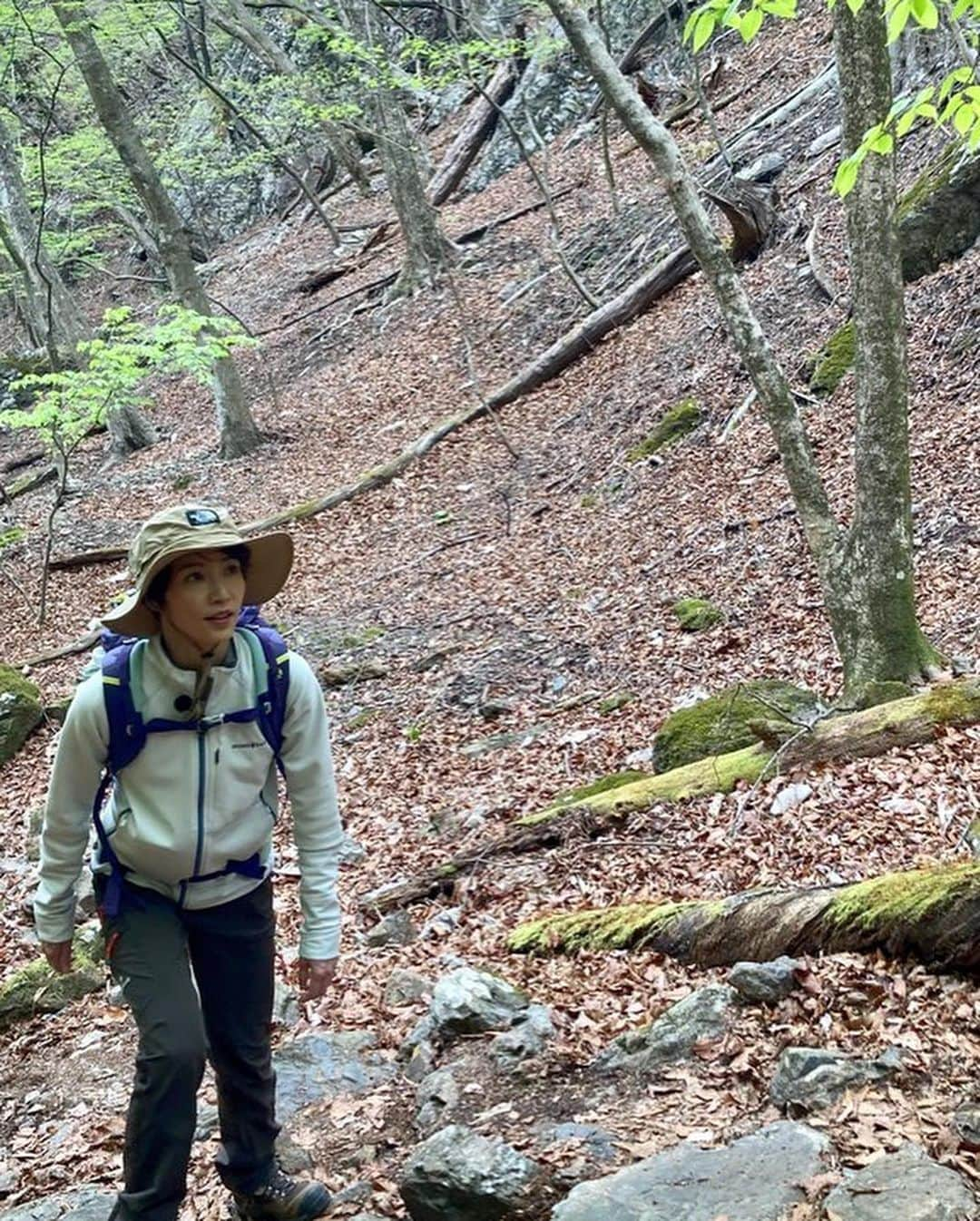 早霧せいなさんのインスタグラム写真 - (早霧せいなInstagram)「鳴神山⛰群馬県桐生市  BS朝日 「そこに山があるから」  2022.4  #この季節ここにしか咲かない花を探しに #そこに山があるから登るんだ」6月12日 15時12分 - seinasagiri_official