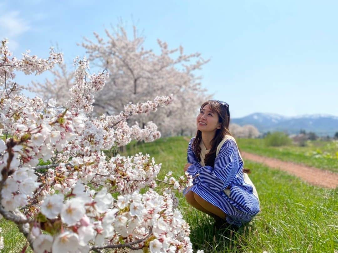 大家彩香さんのインスタグラム写真 - (大家彩香Instagram)「少し前の物ですが 北海道で桜を満喫した時の写真です😆🌸  そして、フォロワーさん 2.1万人♥️♥️ 感謝しかありません💕 いつも、応援して下さり ありがとうございます❤️  #札幌テレビ#どさんこワイド朝#大家彩香#stv#春#サクラ#桜#ドライブ#満開#女子アナ#チークレスメーク#私服#シャツワンピ」6月13日 7時28分 - ayaka_oie_official