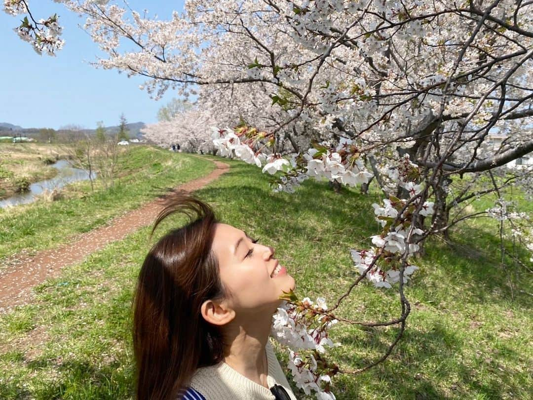 大家彩香さんのインスタグラム写真 - (大家彩香Instagram)「少し前の物ですが 北海道で桜を満喫した時の写真です😆🌸  そして、フォロワーさん 2.1万人♥️♥️ 感謝しかありません💕 いつも、応援して下さり ありがとうございます❤️  #札幌テレビ#どさんこワイド朝#大家彩香#stv#春#サクラ#桜#ドライブ#満開#女子アナ#チークレスメーク#私服#シャツワンピ」6月13日 7時28分 - ayaka_oie_official