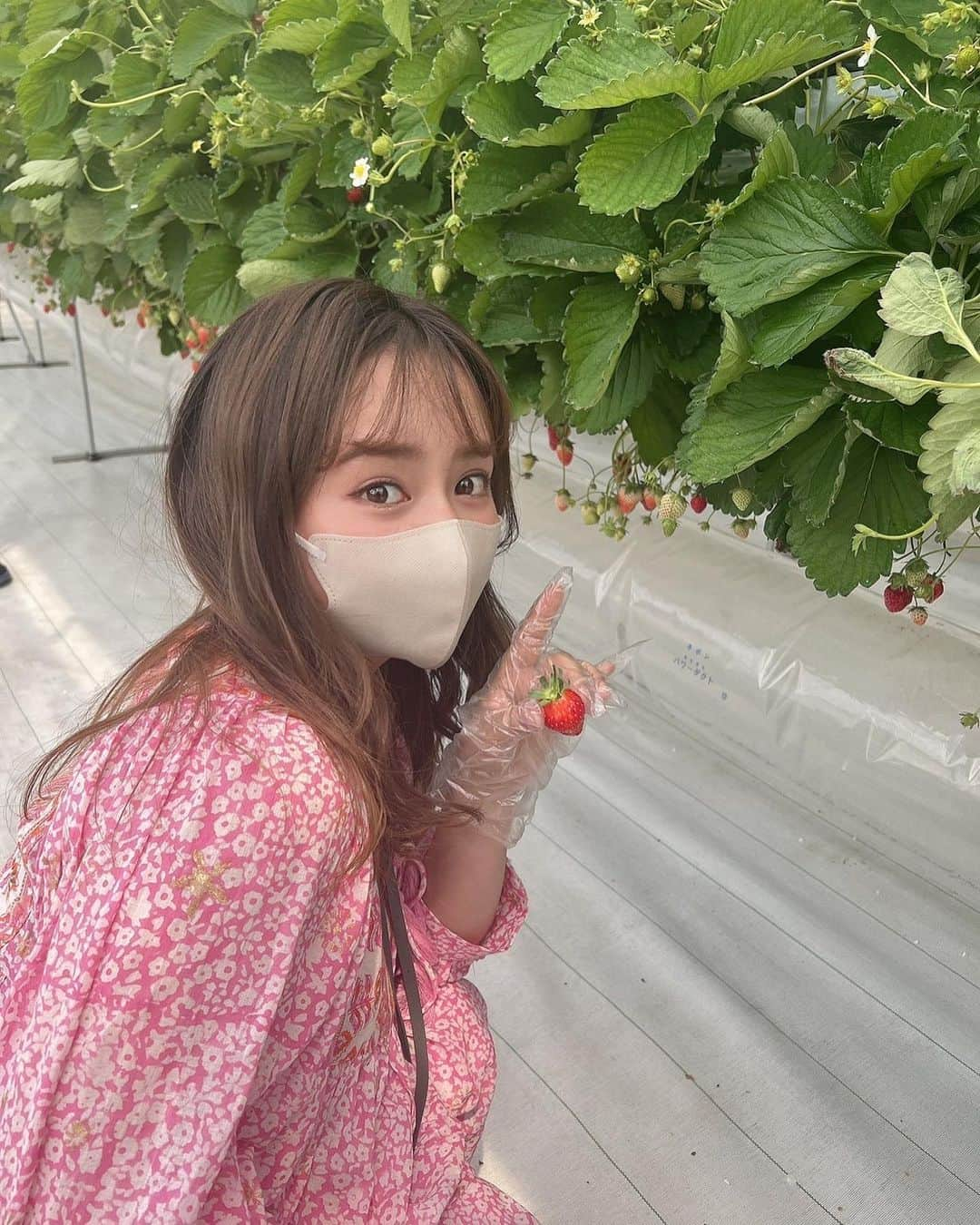 山田菜々さんのインスタグラム写真 - (山田菜々Instagram)「いちご狩りの思い出たち🍓」6月13日 10時28分 - tannana.yamada