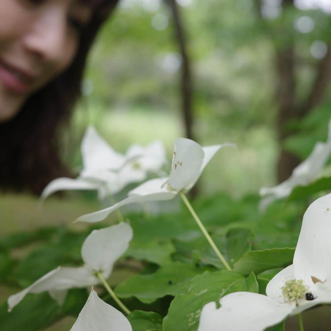 高垣麗子さんのインスタグラム写真 - (高垣麗子Instagram)「* 再び  静けさの中で シンプルマインドで自分と向き合い 「本物」とは何かを 見出せる場所へ...  * #能登 #湯宿さか本 #noto #sakamoto」6月13日 16時37分 - reikotakagaki