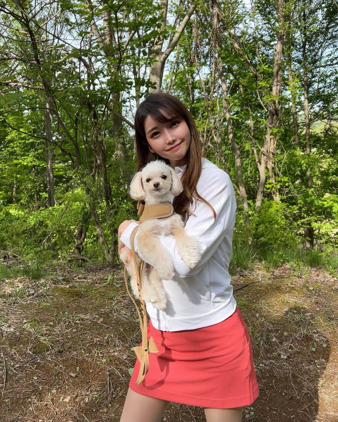 MAYUさんのインスタグラム写真 - (MAYUInstagram)「. 緑いっぱいのところで天使とおさんぽした日🐶🍃🤍 . 帰り道できなちゃんお疲れモード🤣 . お散歩って言葉聞くと、表情がぱっ✨ となってかわいいの🥺 私もリフレッシュできるしお散歩だいすき🚶‍♀️🤍 . . #チワプー#ちわぷー#お散歩#いぬすたぐらむ#🐶」6月13日 20時36分 - mayu.kina_golf