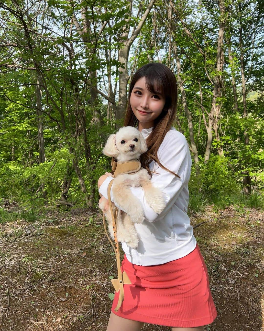 MAYUさんのインスタグラム写真 - (MAYUInstagram)「. 緑いっぱいのところで天使とおさんぽした日🐶🍃🤍 . 帰り道できなちゃんお疲れモード🤣 . お散歩って言葉聞くと、表情がぱっ✨ となってかわいいの🥺 私もリフレッシュできるしお散歩だいすき🚶‍♀️🤍 . . #チワプー#ちわぷー#お散歩#いぬすたぐらむ#🐶」6月13日 20時36分 - mayu.kina_golf