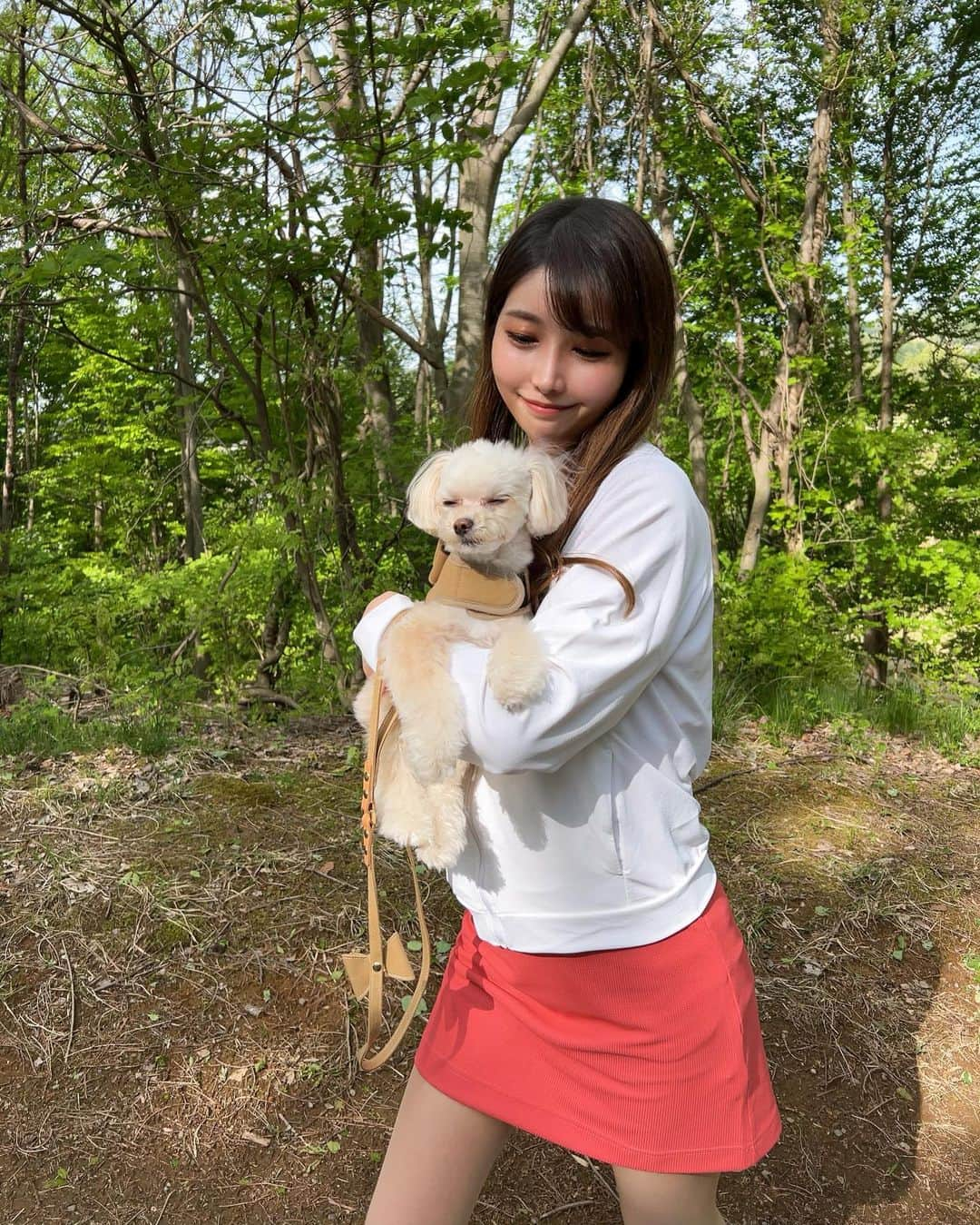 MAYUさんのインスタグラム写真 - (MAYUInstagram)「. 緑いっぱいのところで天使とおさんぽした日🐶🍃🤍 . 帰り道できなちゃんお疲れモード🤣 . お散歩って言葉聞くと、表情がぱっ✨ となってかわいいの🥺 私もリフレッシュできるしお散歩だいすき🚶‍♀️🤍 . . #チワプー#ちわぷー#お散歩#いぬすたぐらむ#🐶」6月13日 20時36分 - mayu.kina_golf