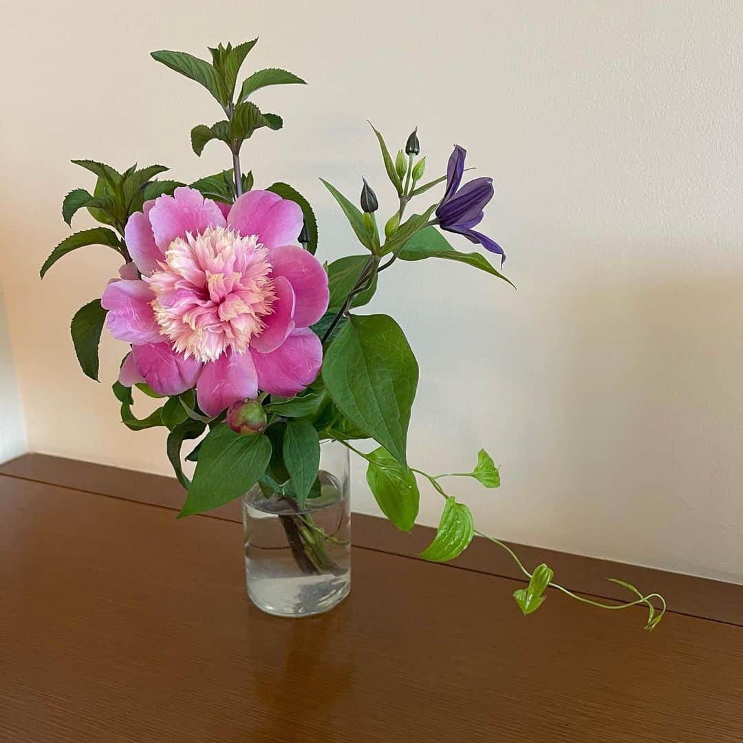 渡辺満里奈さんのインスタグラム写真 - (渡辺満里奈Instagram)「お友だち @litterature_tokyo  にいただいた、絵画のようなお花。美しすぎる。」6月14日 10時21分 - funnyfacefunny