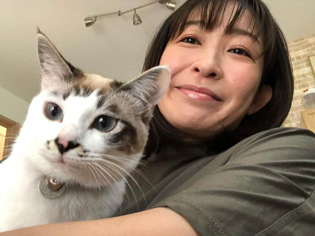 小野真弓さんのインスタグラム写真 - (小野真弓Instagram)「おはようございます☺️ 今日も良い一日を(о´∀`о)🍀  新しい預かりにゃんこ ハチくんです🐾  ほんの少し前まで居た ネロくんそっくりですが〜🐈‍⬛🐈‍⬛ 違い、わかりますか〜❓ 難易度高め😂  見慣れてくると、全然違うお顔にゃあー✨ ハチくんの方が、 ぼってり太っちょさんにゃ☺️ 人間大好きとっても甘えん坊✨ ケンカもしにゃいよ。 可愛くてたまらにゃい🤤💘  最初の医療をまた、 @forestdogcc  #わたりだ動物病院 に、ご協力頂きました🙇‍♀️ いつもありがとうございます🥺  しばらく仮のかーさん🙋‍♀️ ハチくん よろちくにゃん❤️  #黒猫#ハチくん #親子猫#ろくちゃんファミリー #預かり猫#保護猫 🐾 #チワワ#ハナちゃん #チワマル#ハルくん #雑種猫兄妹#アオくん#ナナちゃん #犬と猫のいる暮らし #犬猫日記  🐶🐶🐯🐯 うちの子たちも 色んな子がやってくることに だんだん慣れてきました☺️  キャリーを覗いて、、 どんな子が来たかチェック😍 今回リアクション薄め👀👀 おそらく、、 お見合いに行ったネロくんが帰ってきた！！ と思ってます😂」6月15日 9時50分 - hanaharuaroi