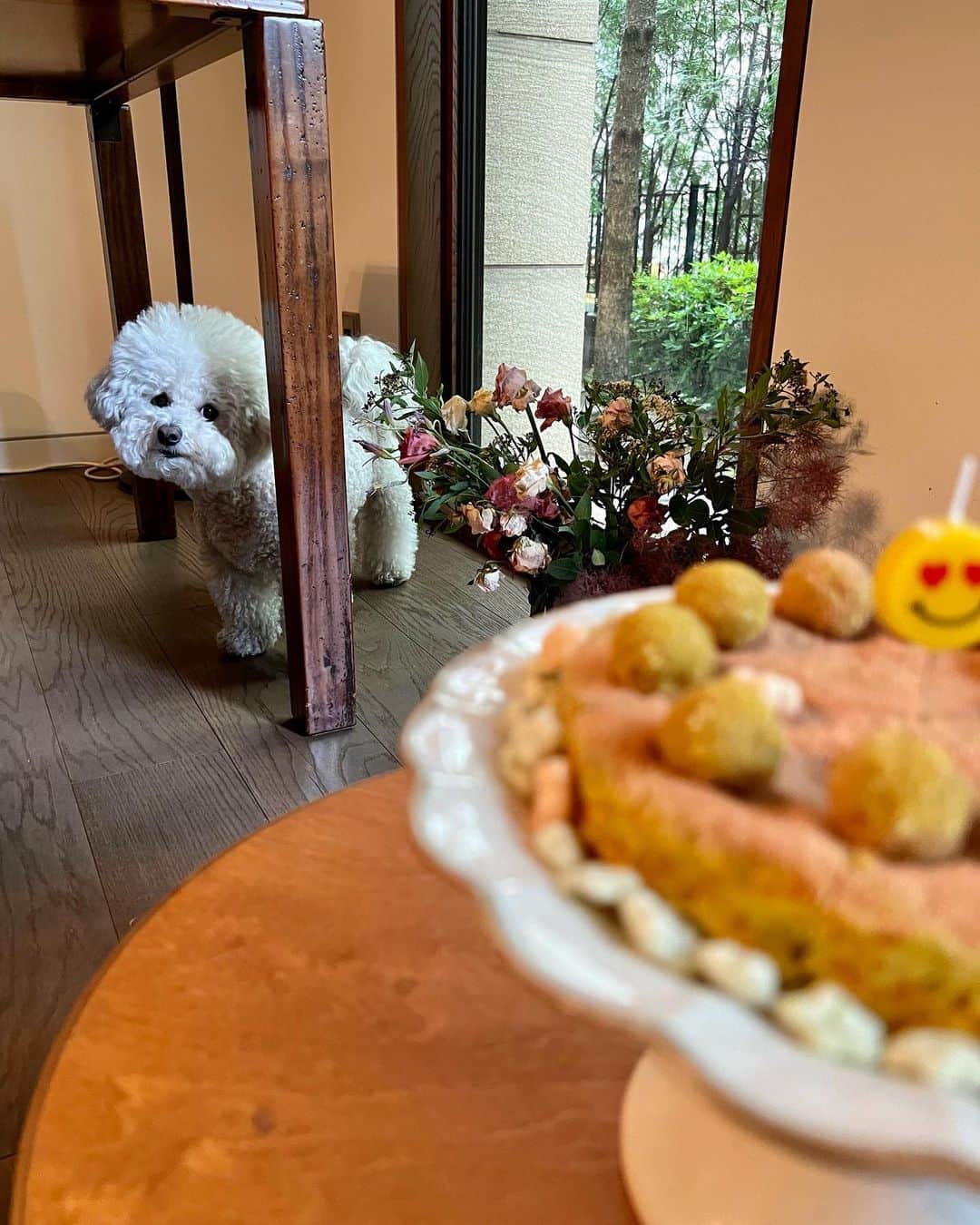 シン・セギョンさんのインスタグラム写真 - (シン・セギョンInstagram)「사랑이 생일 축하해💛✨」6月15日 18時51分 - sjkuksee