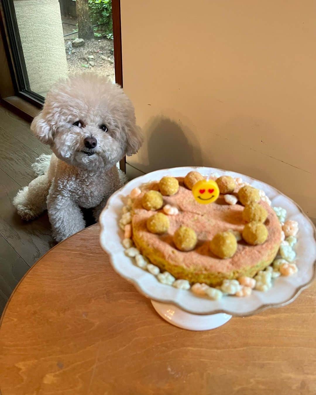 シン・セギョンさんのインスタグラム写真 - (シン・セギョンInstagram)「사랑이 생일 축하해💛✨」6月15日 18時51分 - sjkuksee